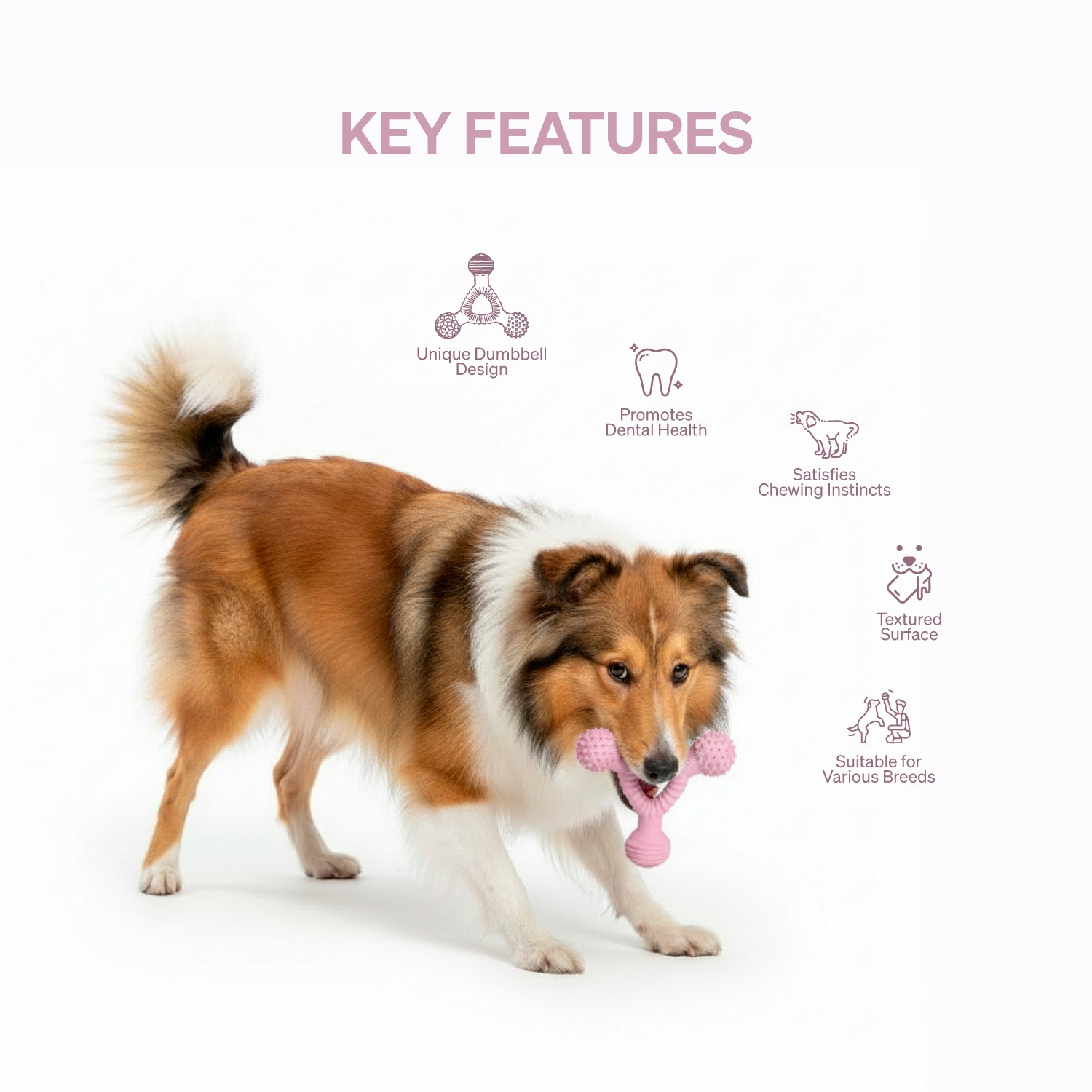 Ezra Play Dumbell- Pink Rubber Toy