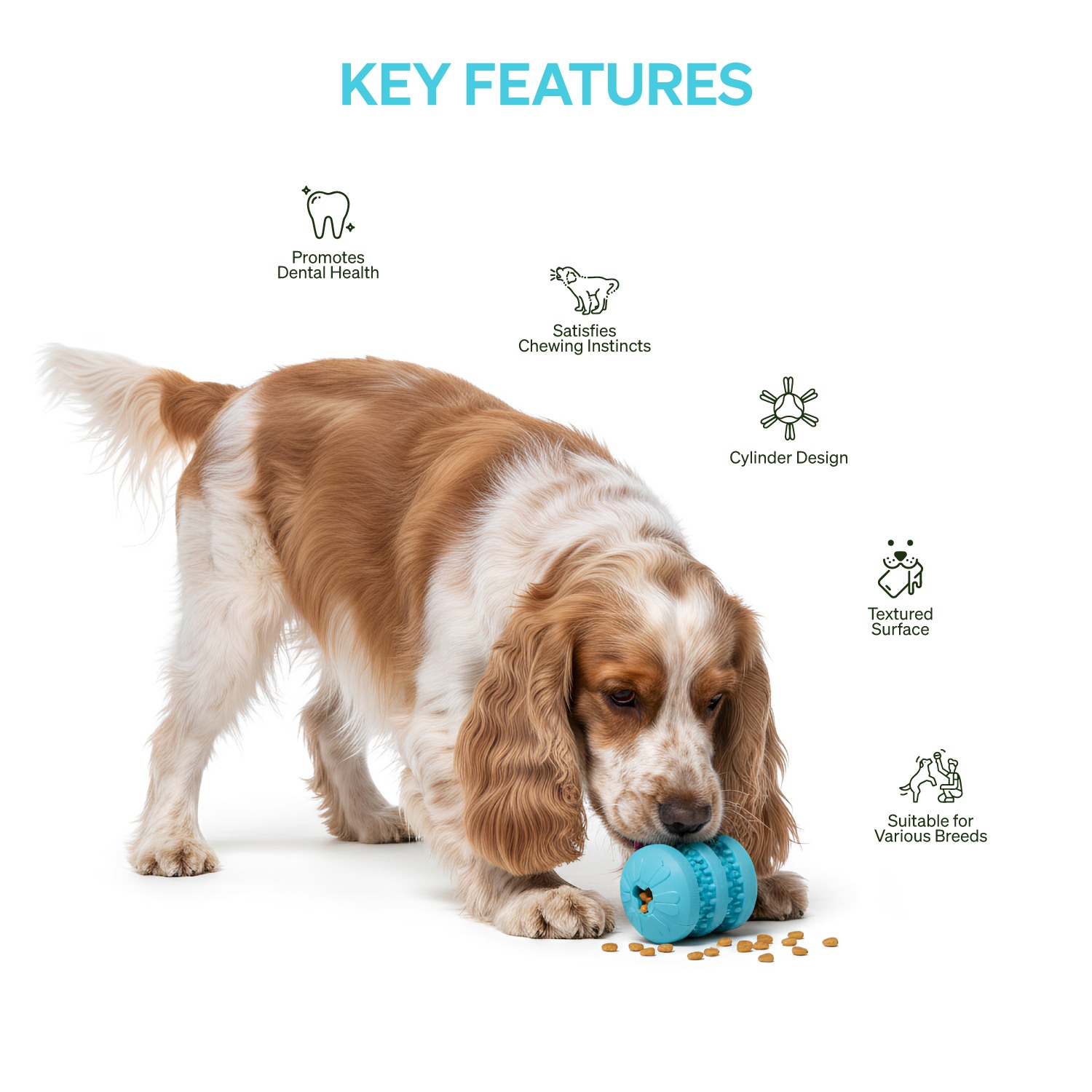 Ezra Play Treat Cylinder - Blue Rubber Toy