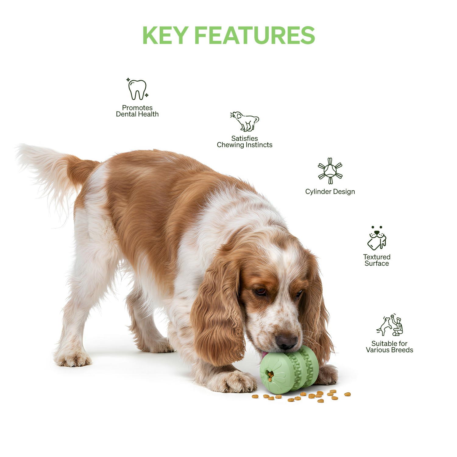 Ezra Play Treat Cylinder - Green Rubber Toy