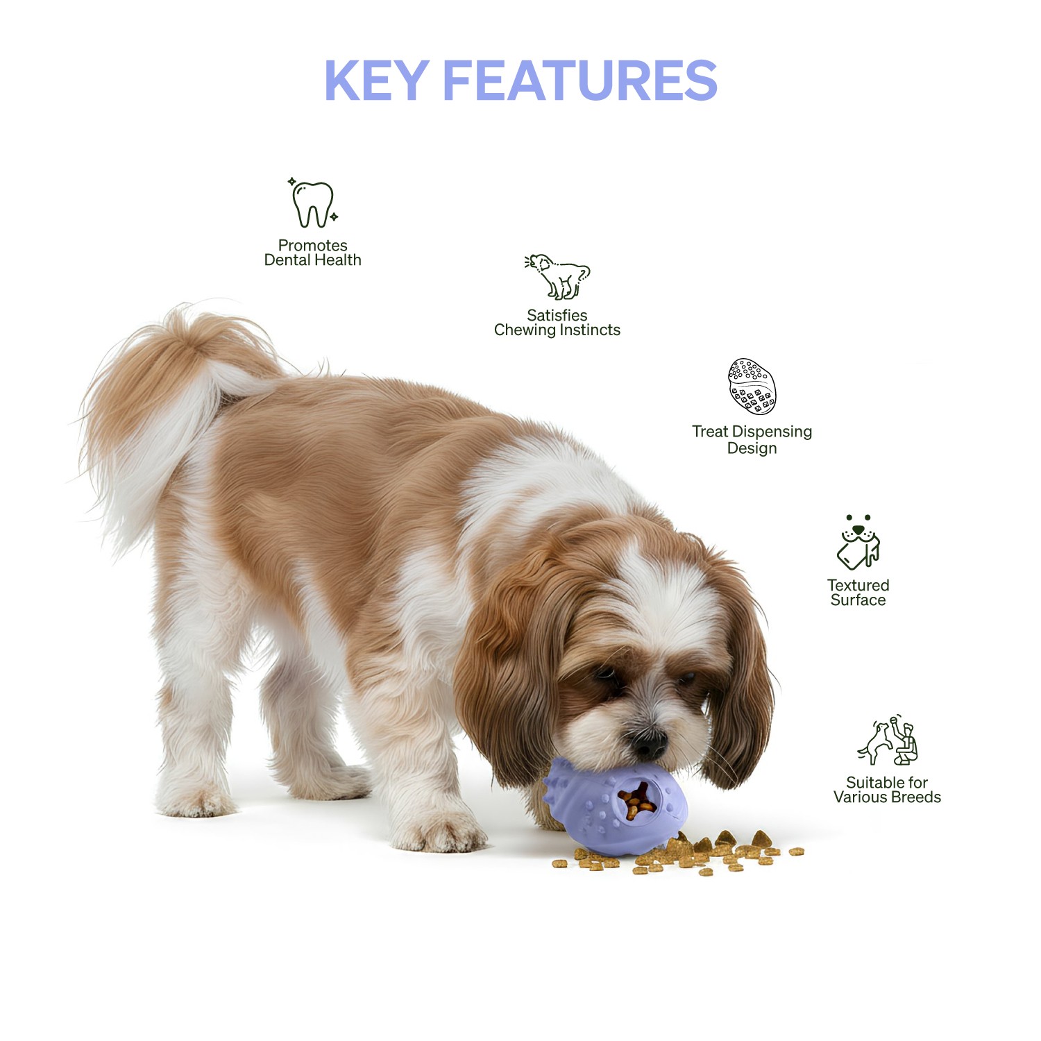 Ezra Play Treat Ball - Purple Rubber Toy