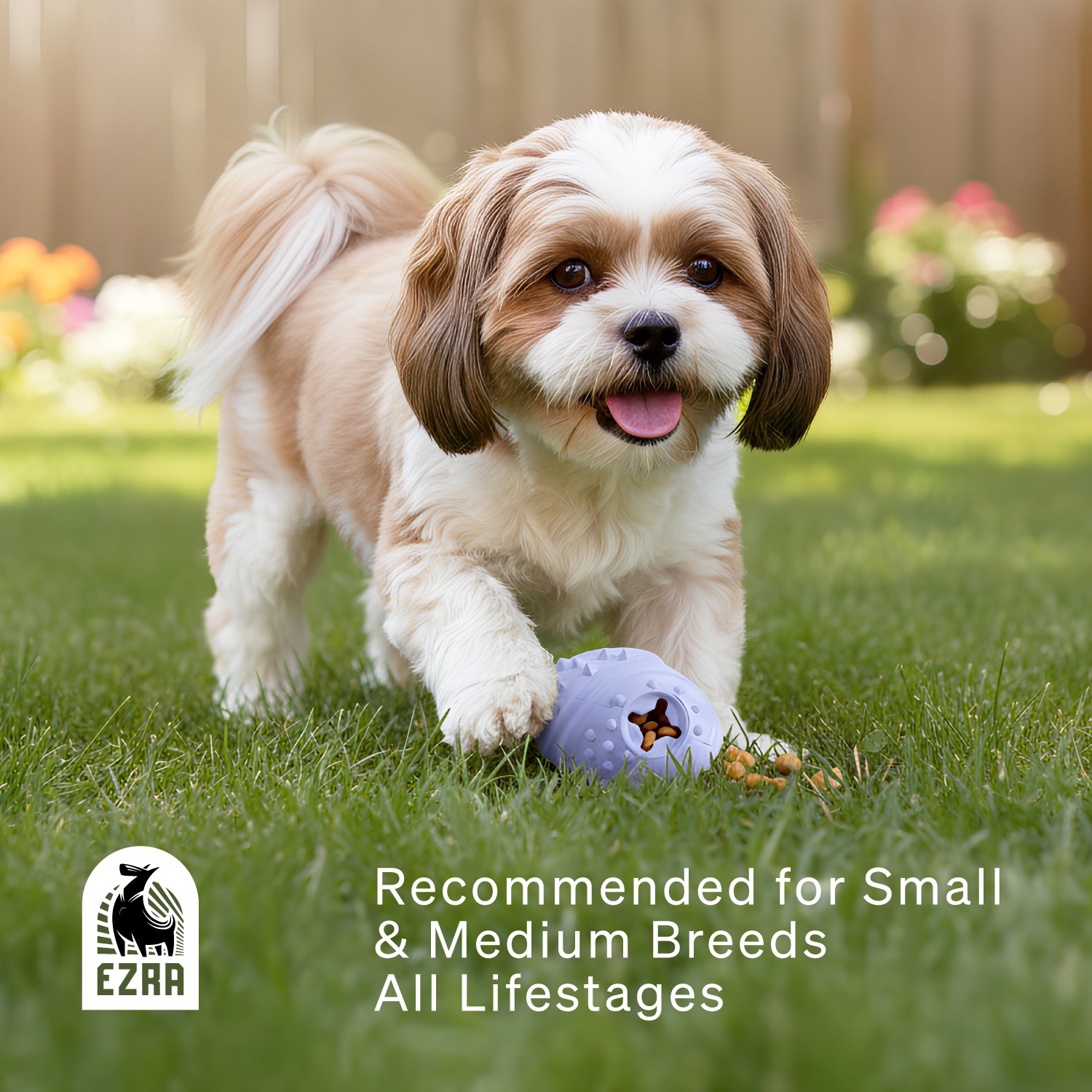 Ezra Play Treat Ball - Purple Rubber Toy