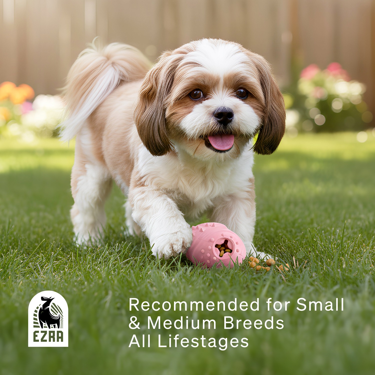 Ezra Play Treat Ball - Pink Rubber Toy
