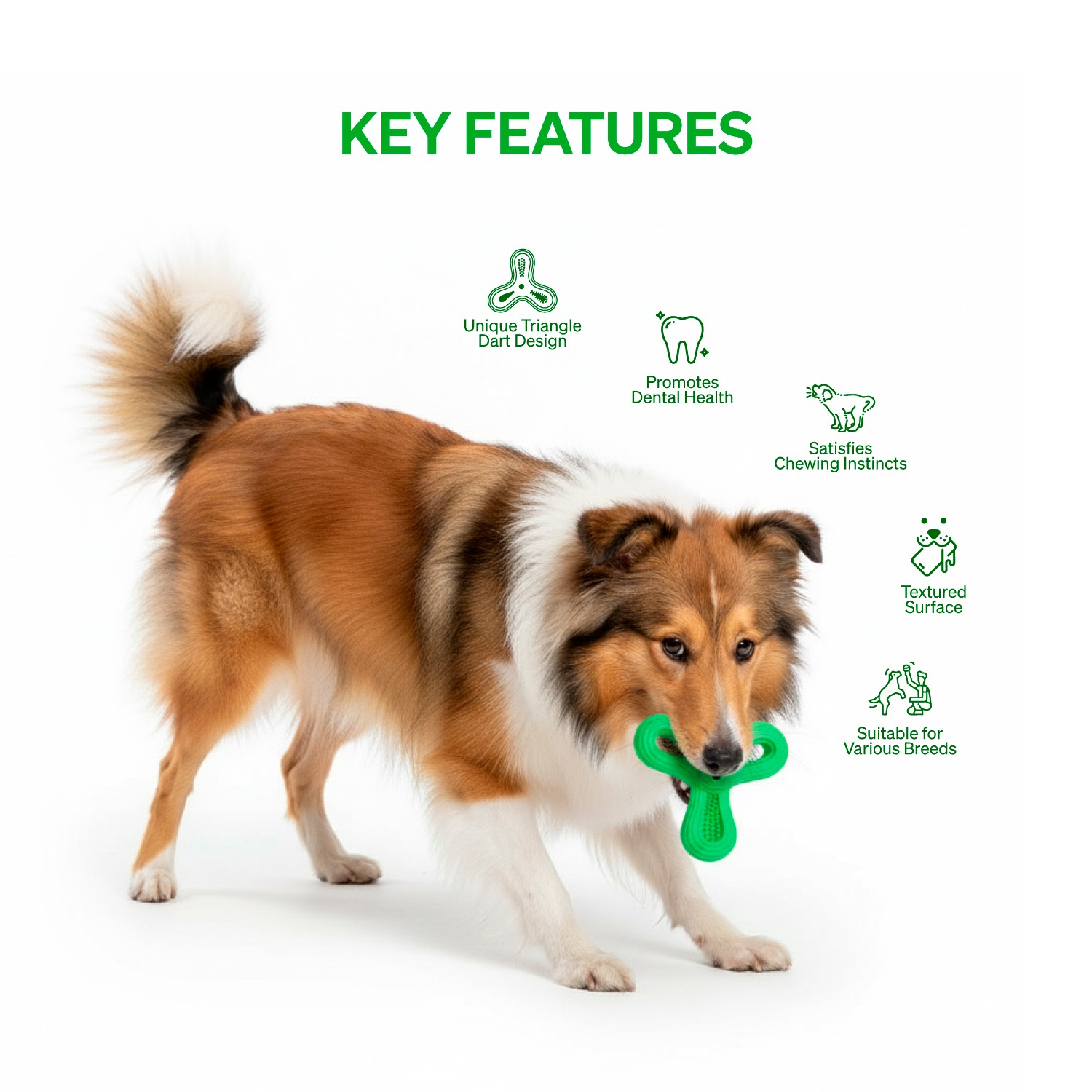 Ezra Play Triangle Dart - Dark Green Rubber Toy