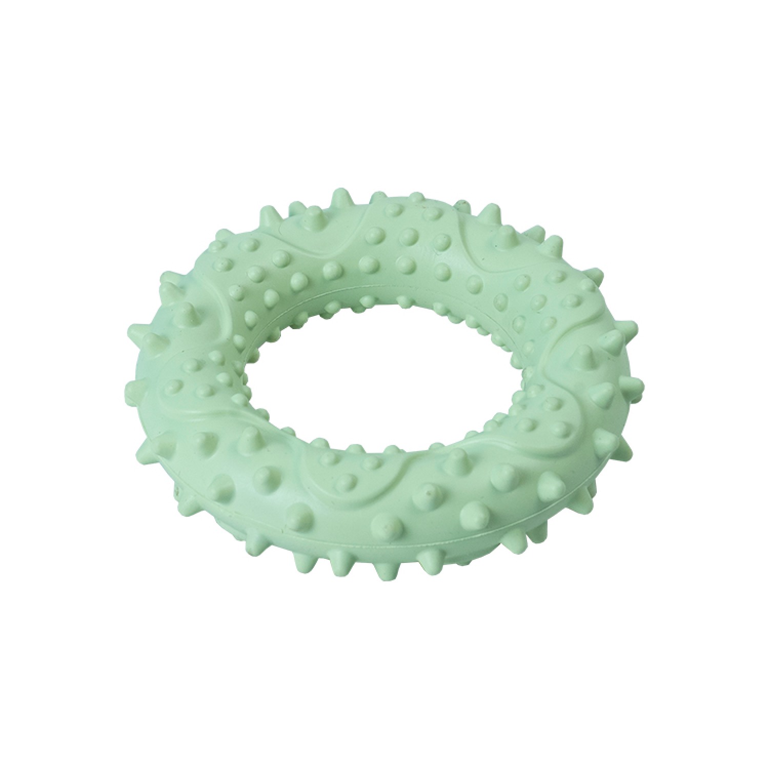 Ezra Play Spiky Small Ring - Green Rubber Toy