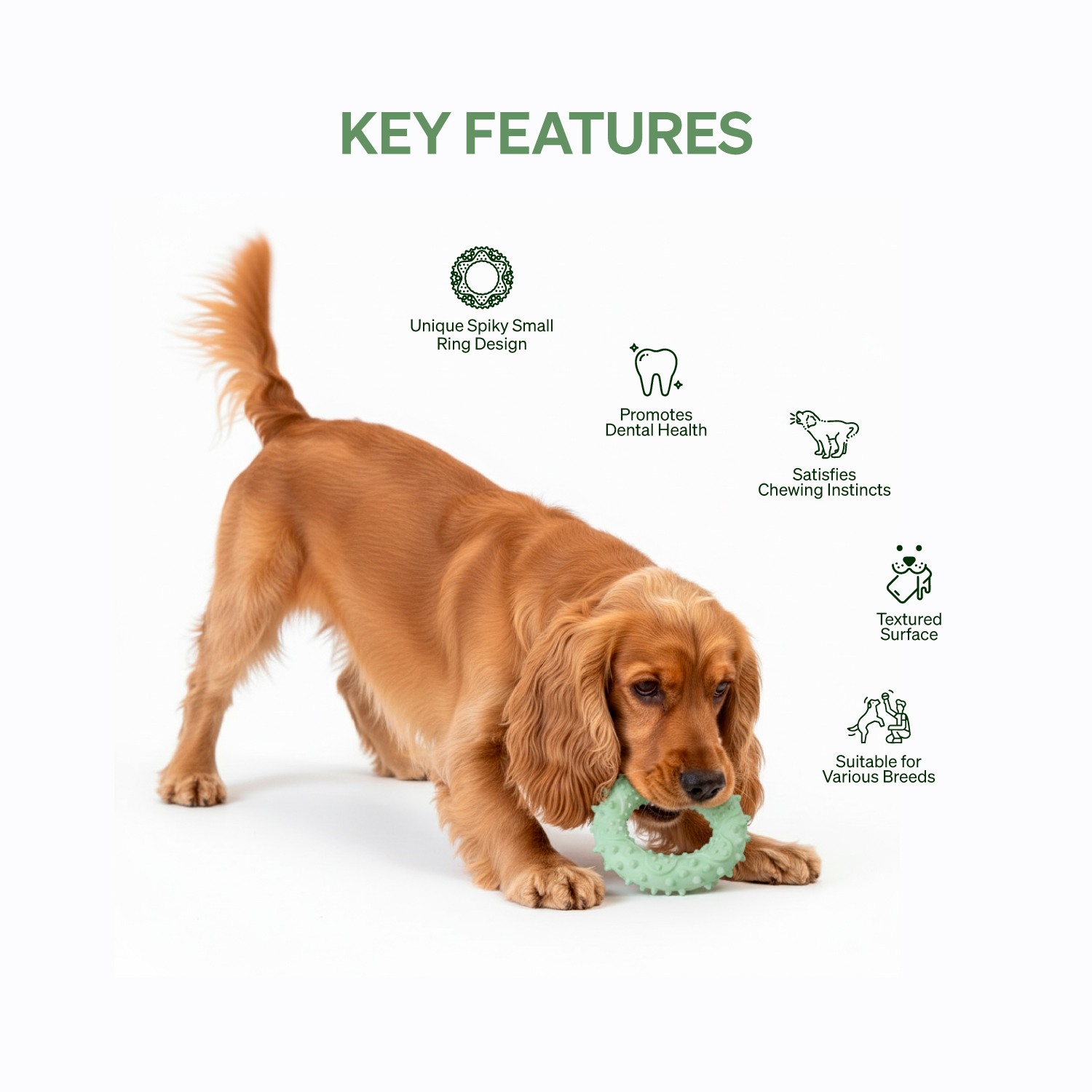 Ezra Play Spiky Small Ring - Green Rubber Toy