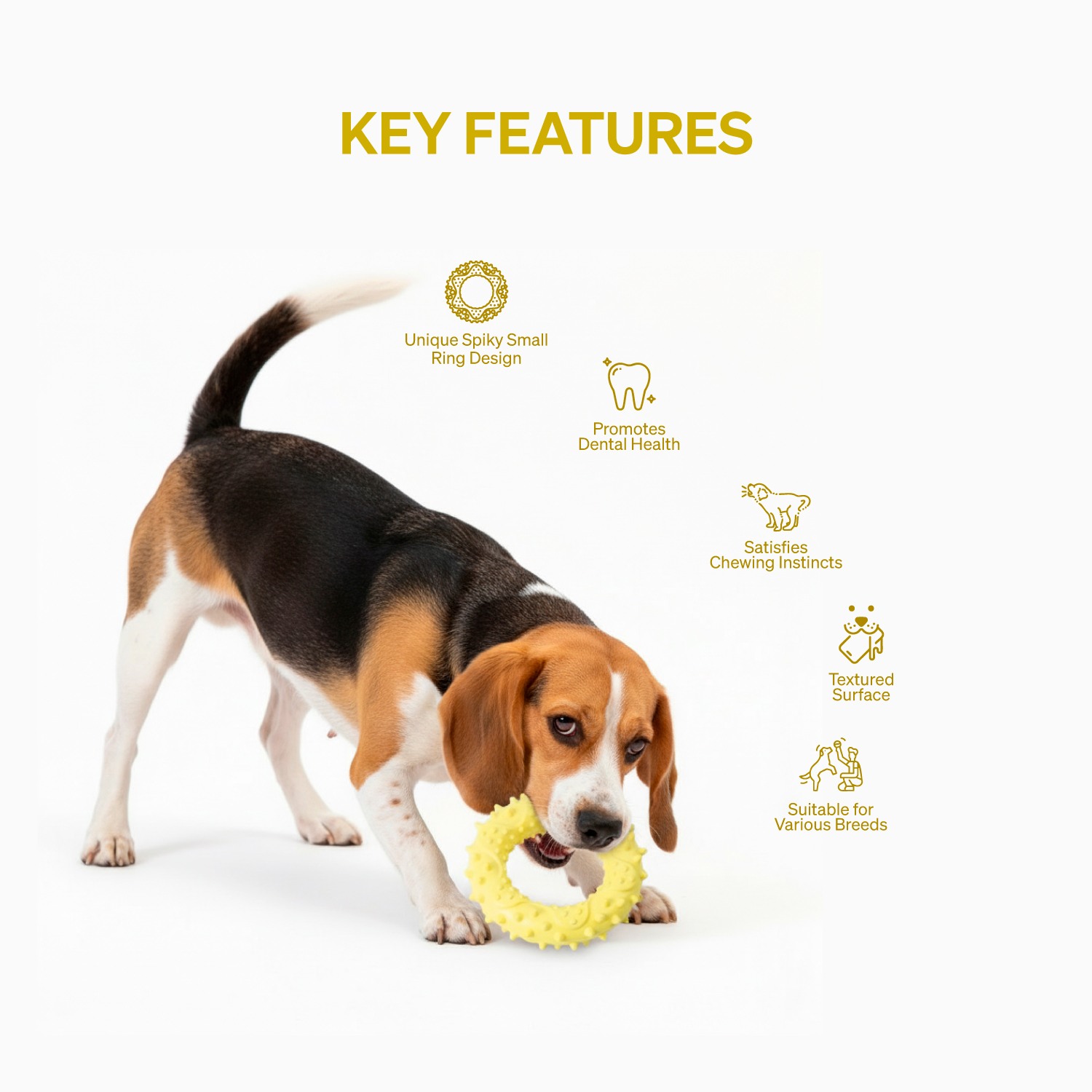 Ezra Play Spiky Small Ring - Yellow Rubber Toy