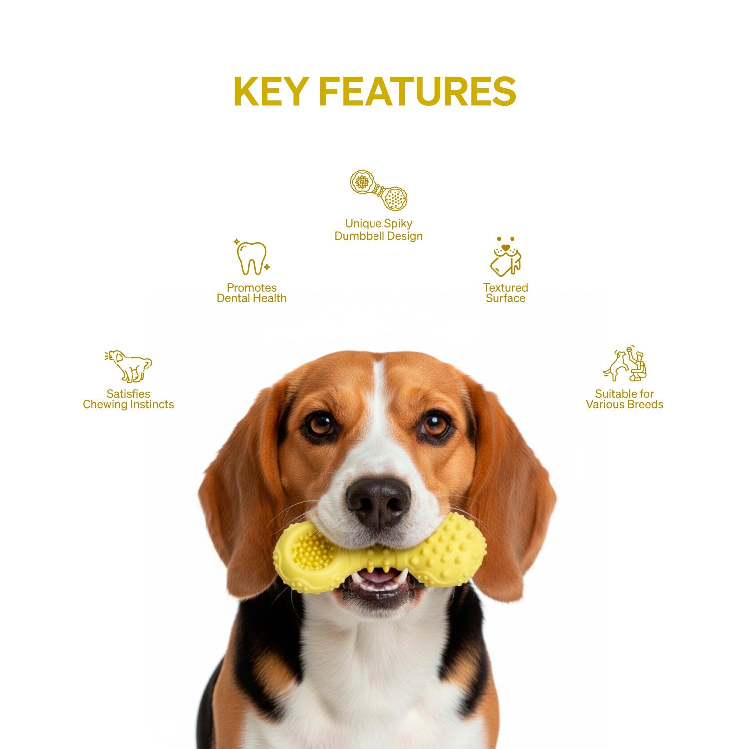 Ezra Play Spiky Dumbbell - Yellow Rubber Toy