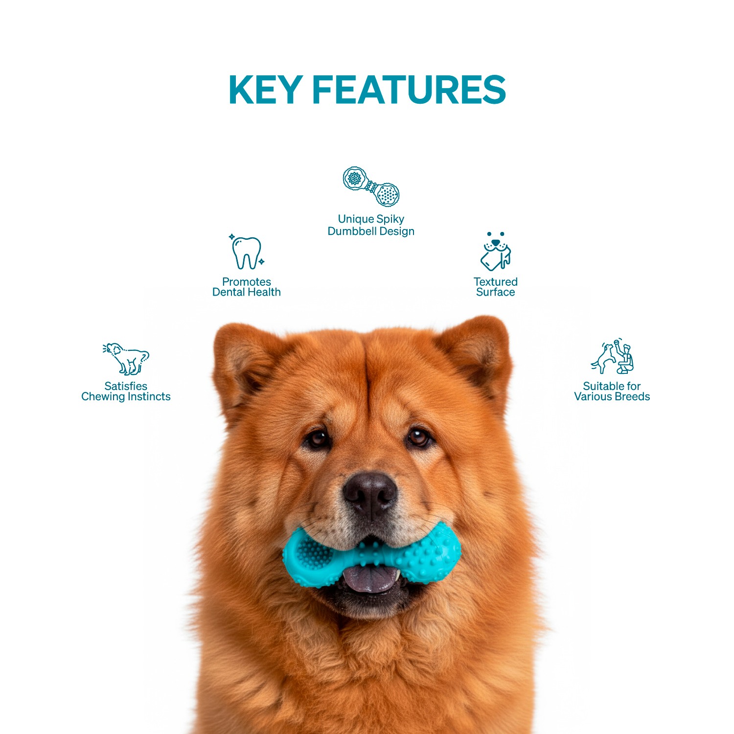 Ezra Play Spiky Dumbbell - Blue Rubber Toy