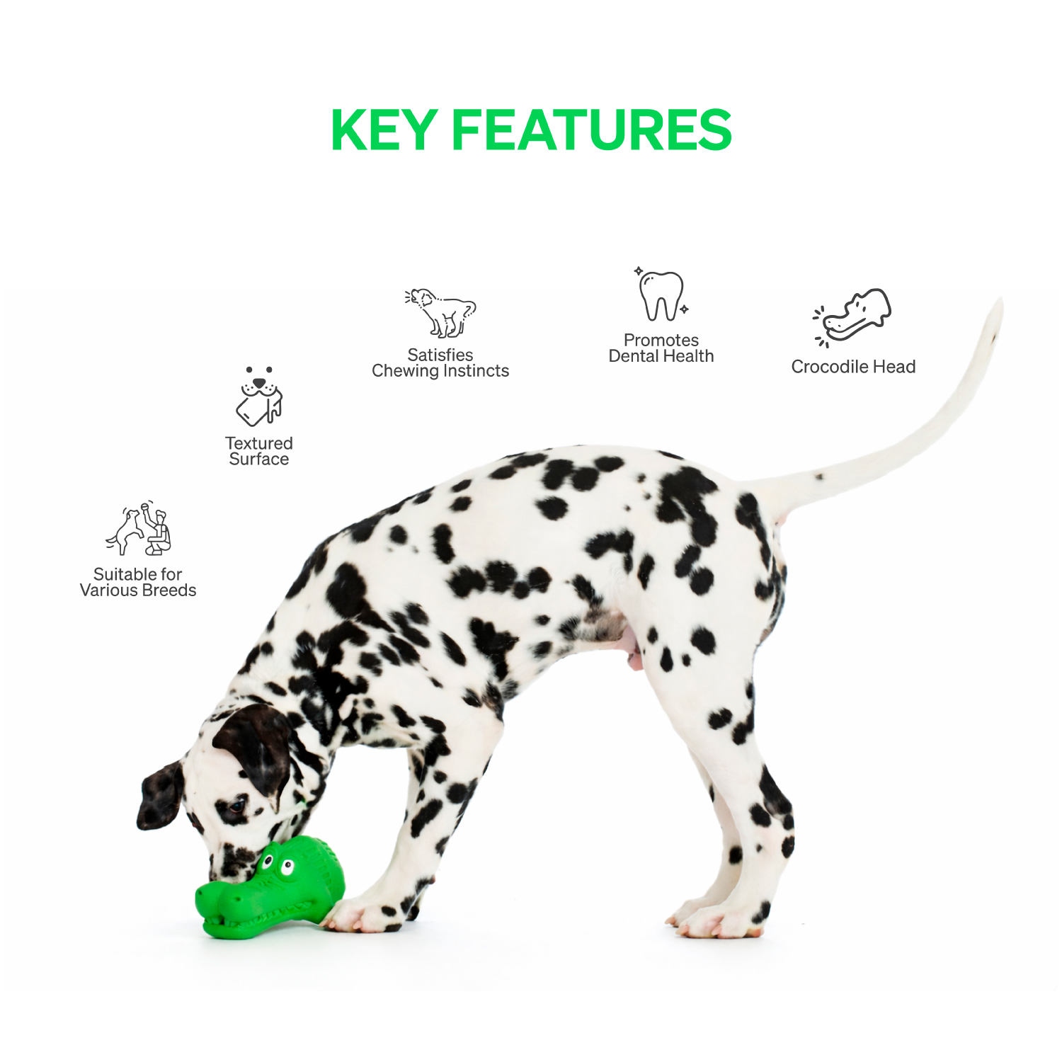 Ezra Play Crocodile - Green Rubber Toy