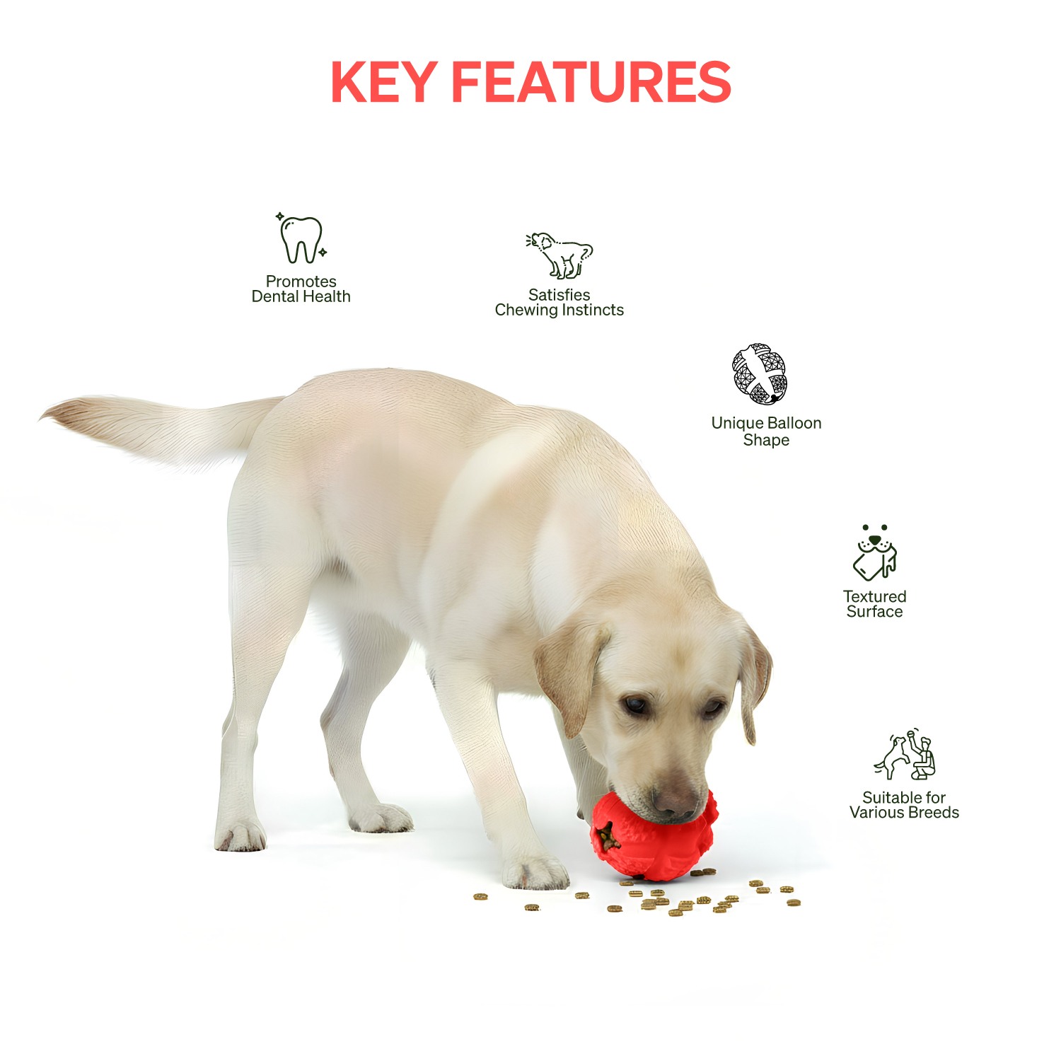 Ezra Play Treat Balloon - Red Rubber Toy