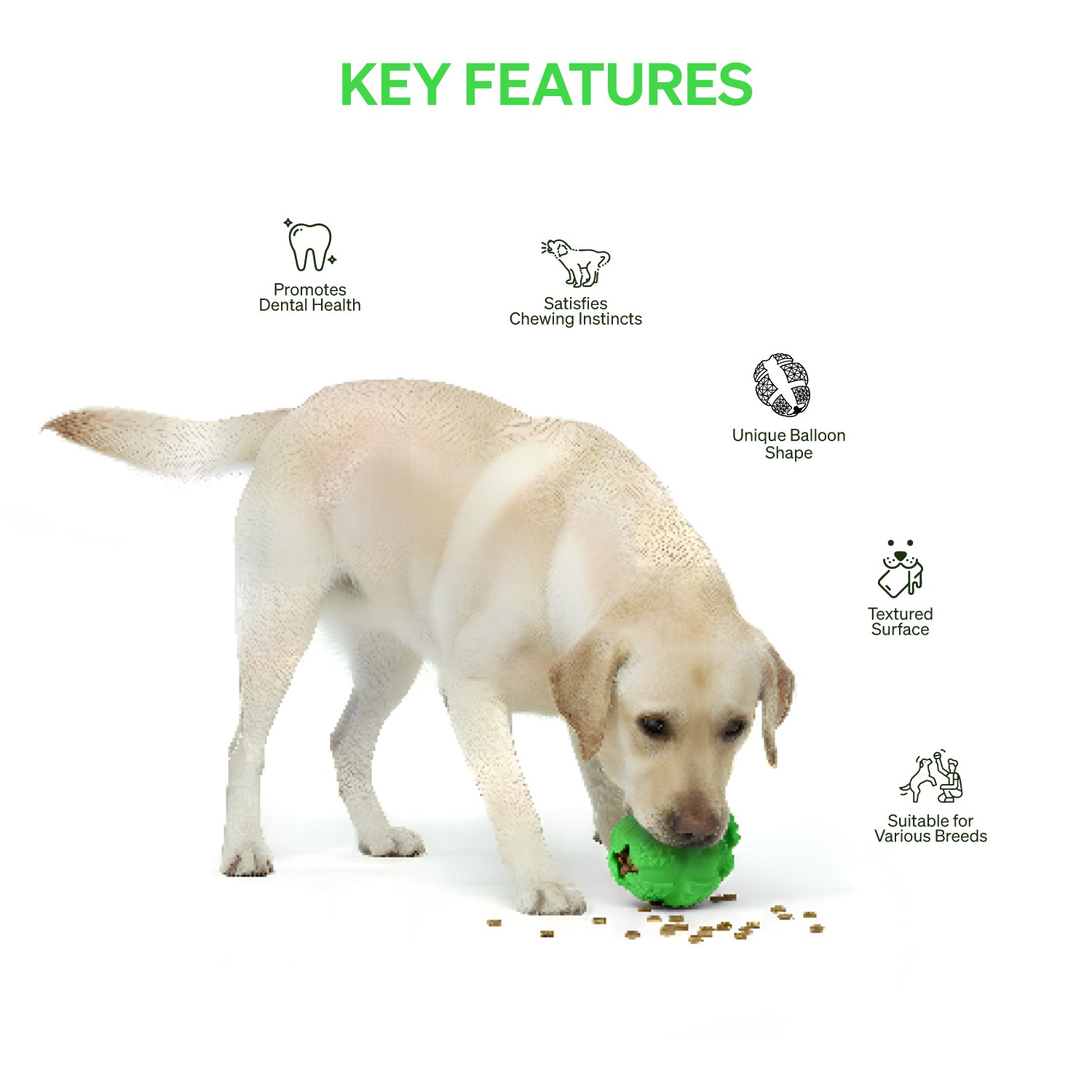 Ezra Play Treat Balloon - Green Rubber Toy