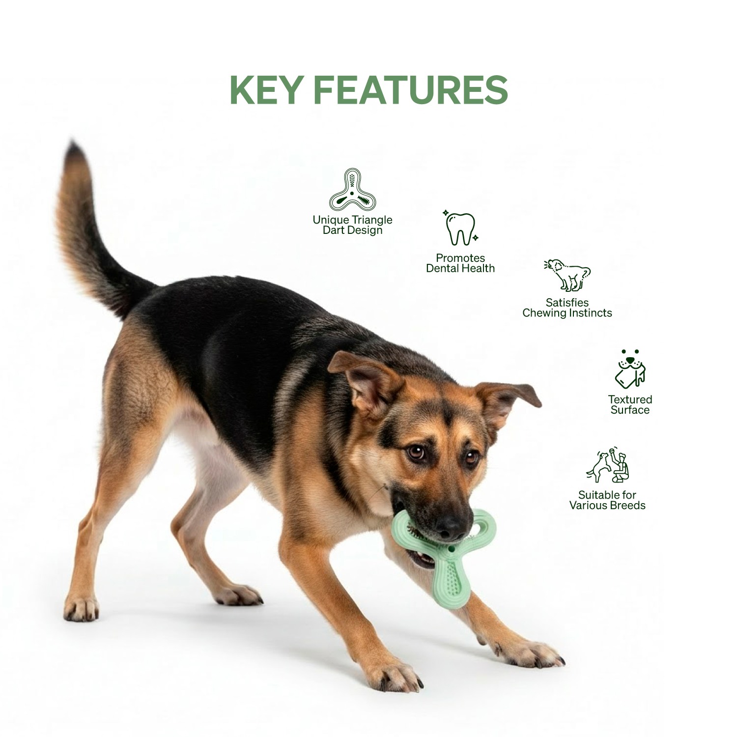 Ezra Play Triangle Dart - Light Green Rubber Toy