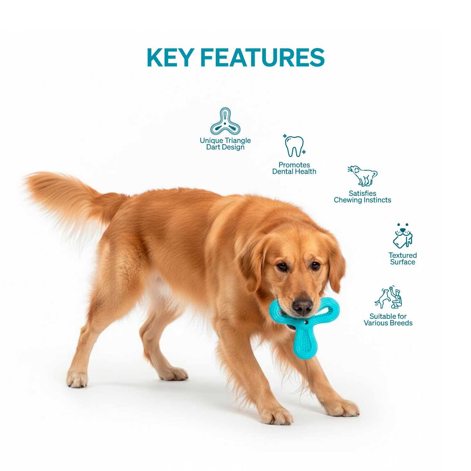Ezra Play Triangle Dart - Blue Rubber Toy