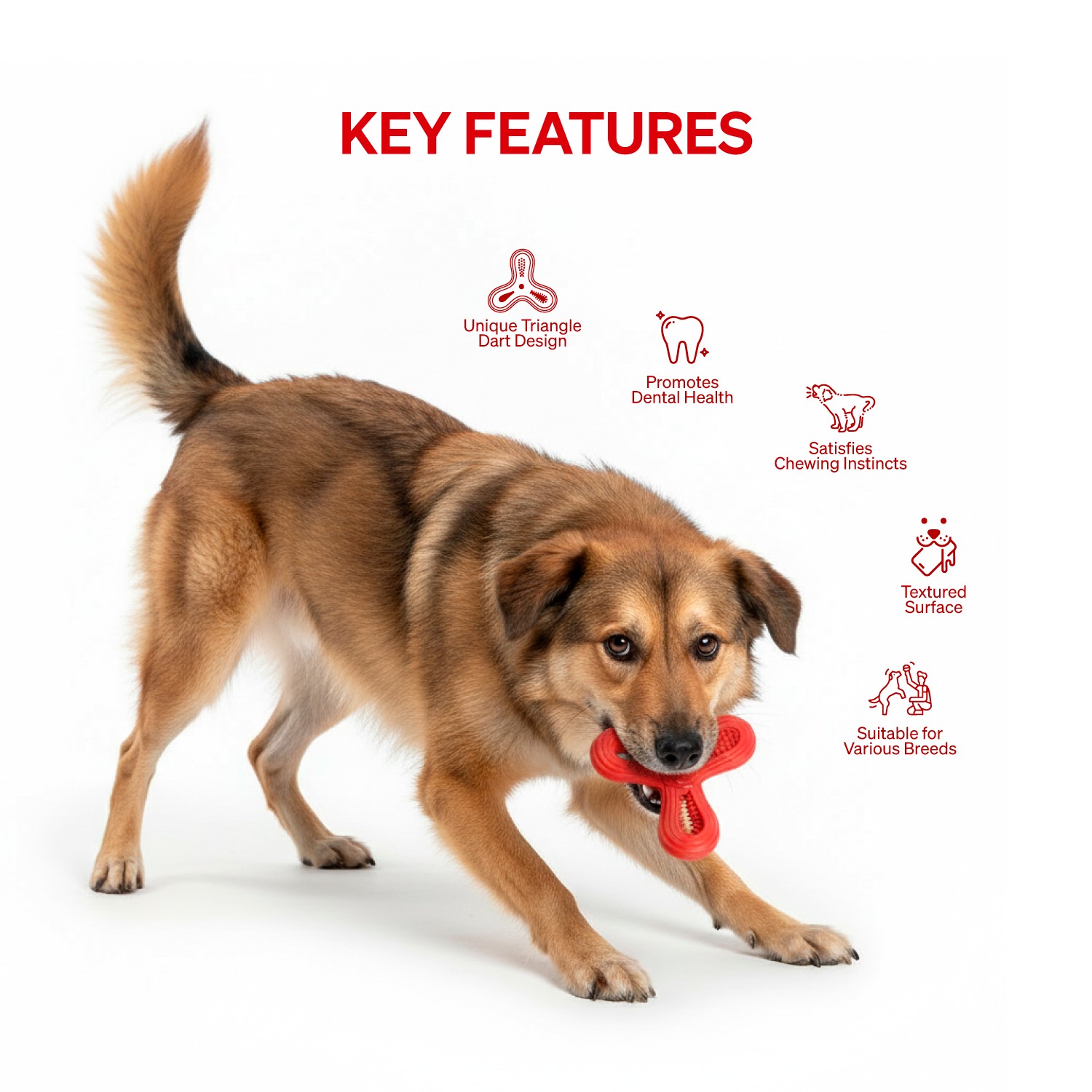 Ezra Play Triangle Dart - Red Rubber Toy