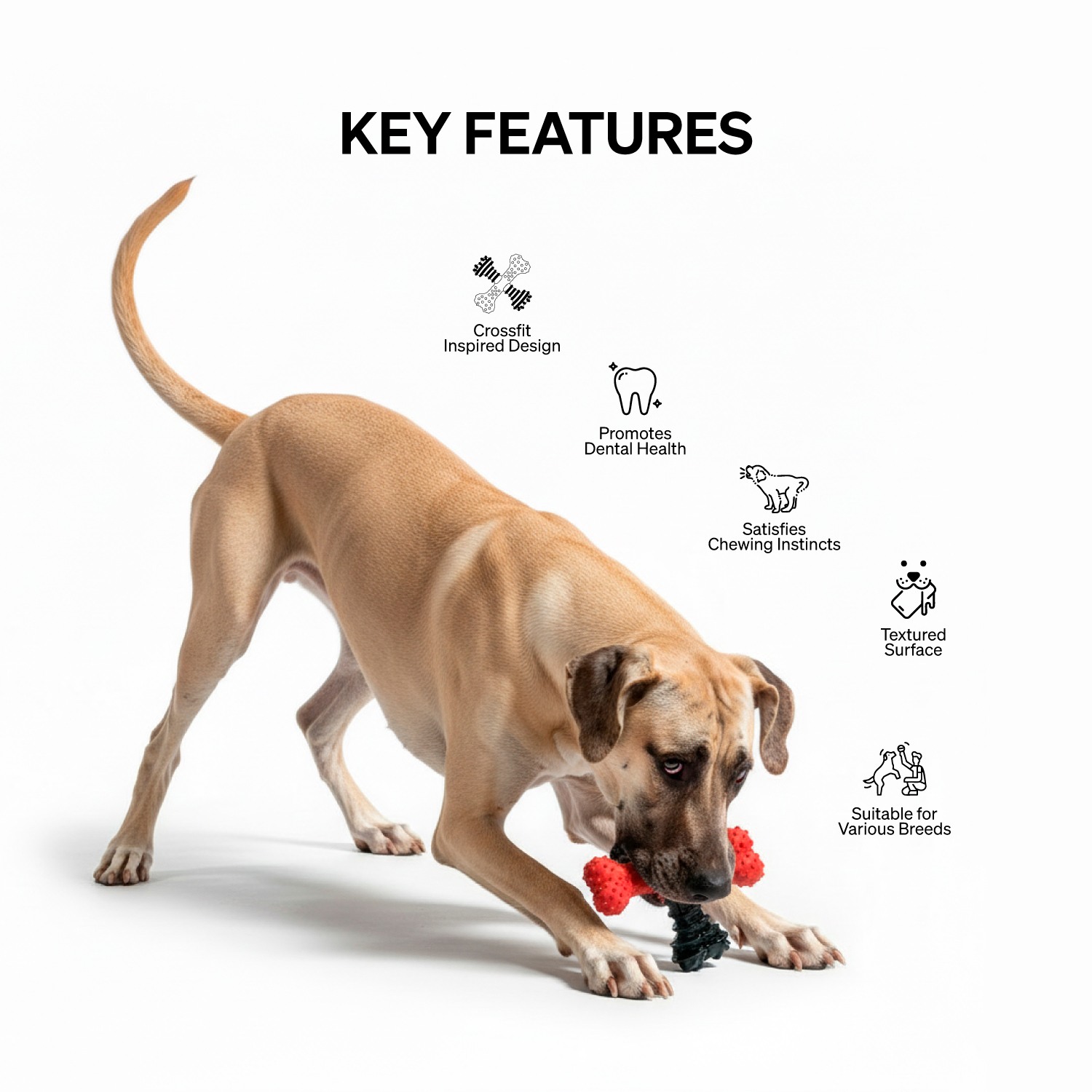 Ezra Play Crossfit Bone Toy