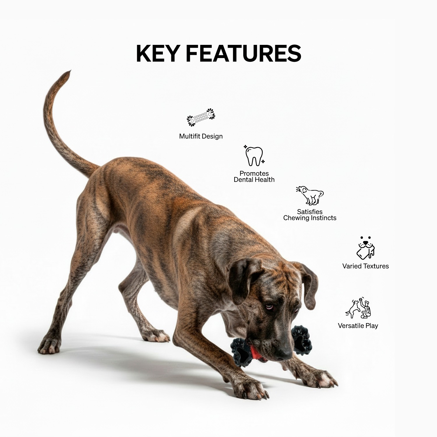 Ezra Play Multifit Bone Toy