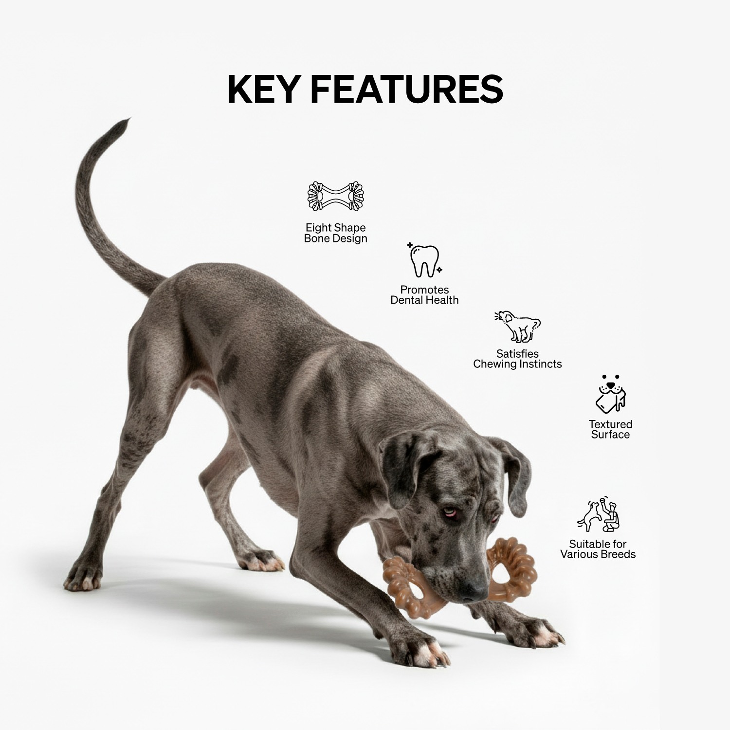 Ezra Play Eight Shape Bone Toy