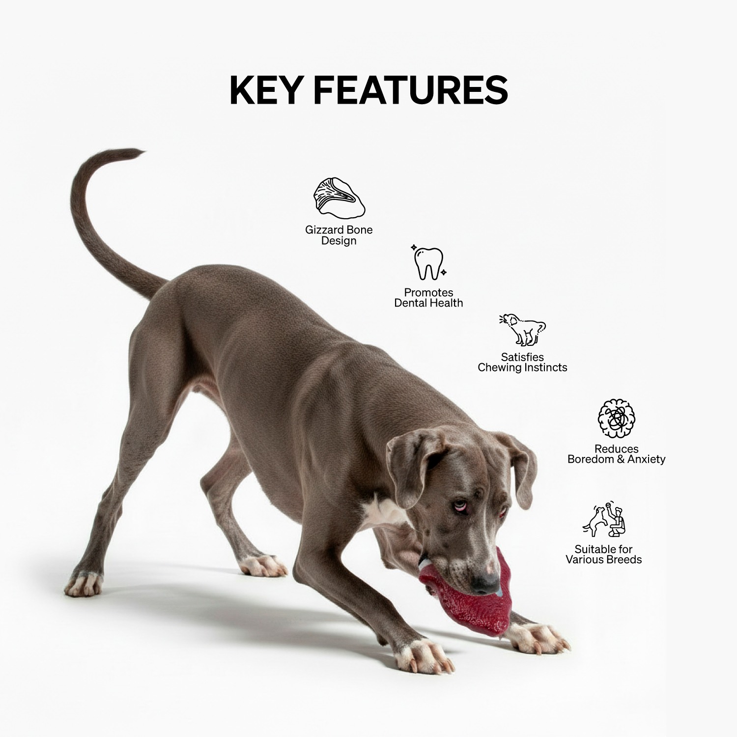 Ezra Play Gizzard Toy