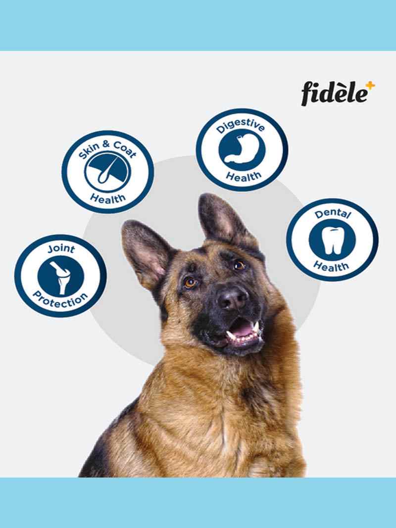 Fidele Large Adult Dog Food 3kg