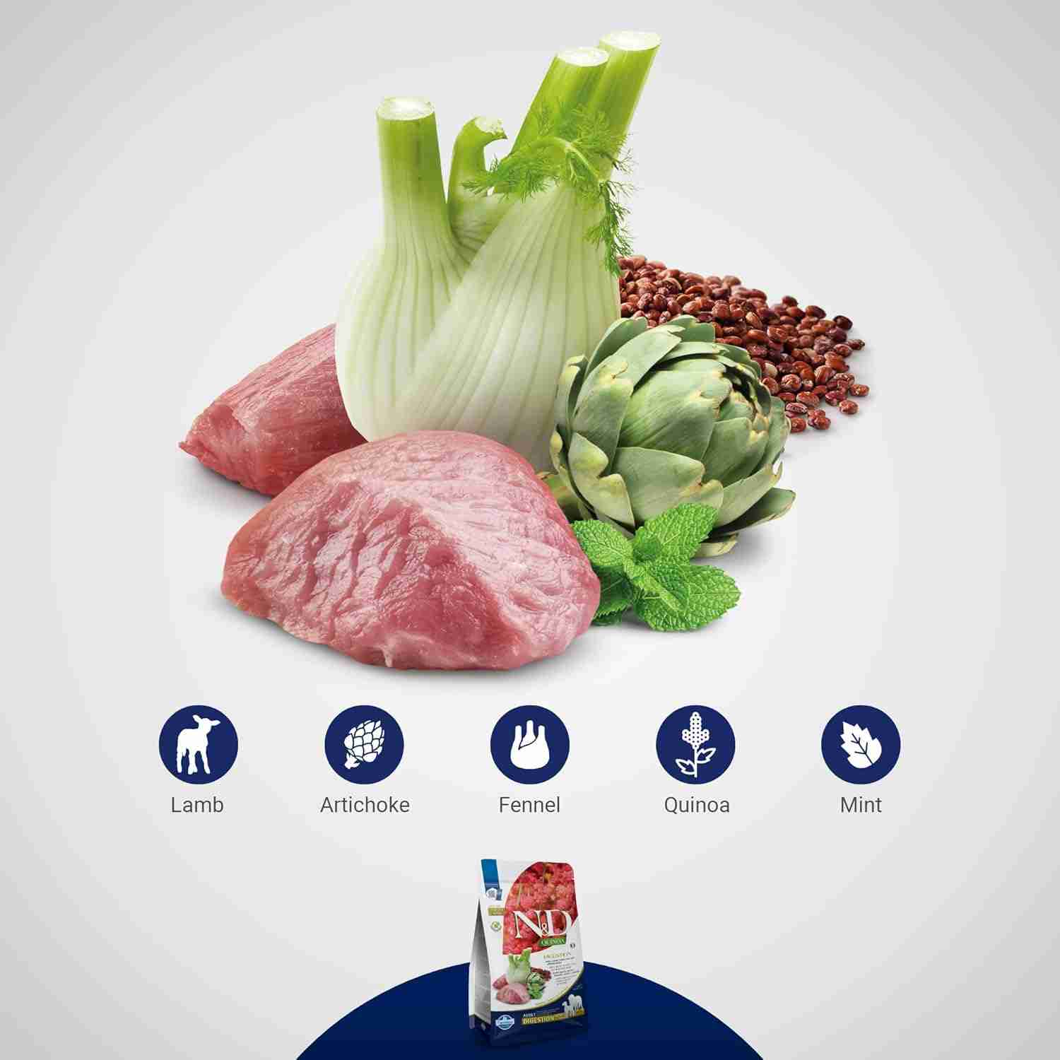 Farmina N&D Quinoa Digestion Lamb Dry Food For Adult Dog - Medium & Maxi