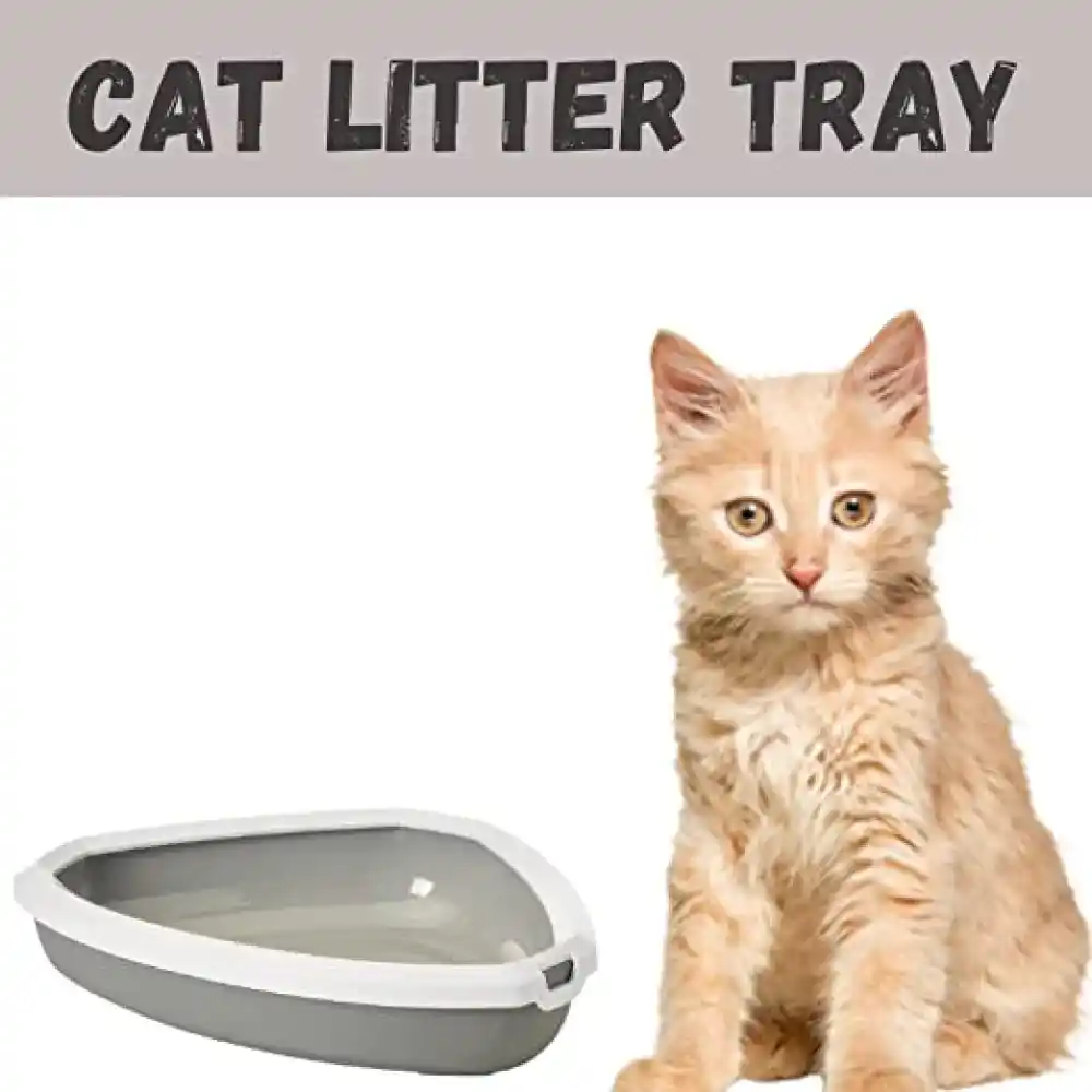 Savic Rincon Corner Cat Litter Tray + Rim - Cold Grey - 23 x 18 x 5 Inch
