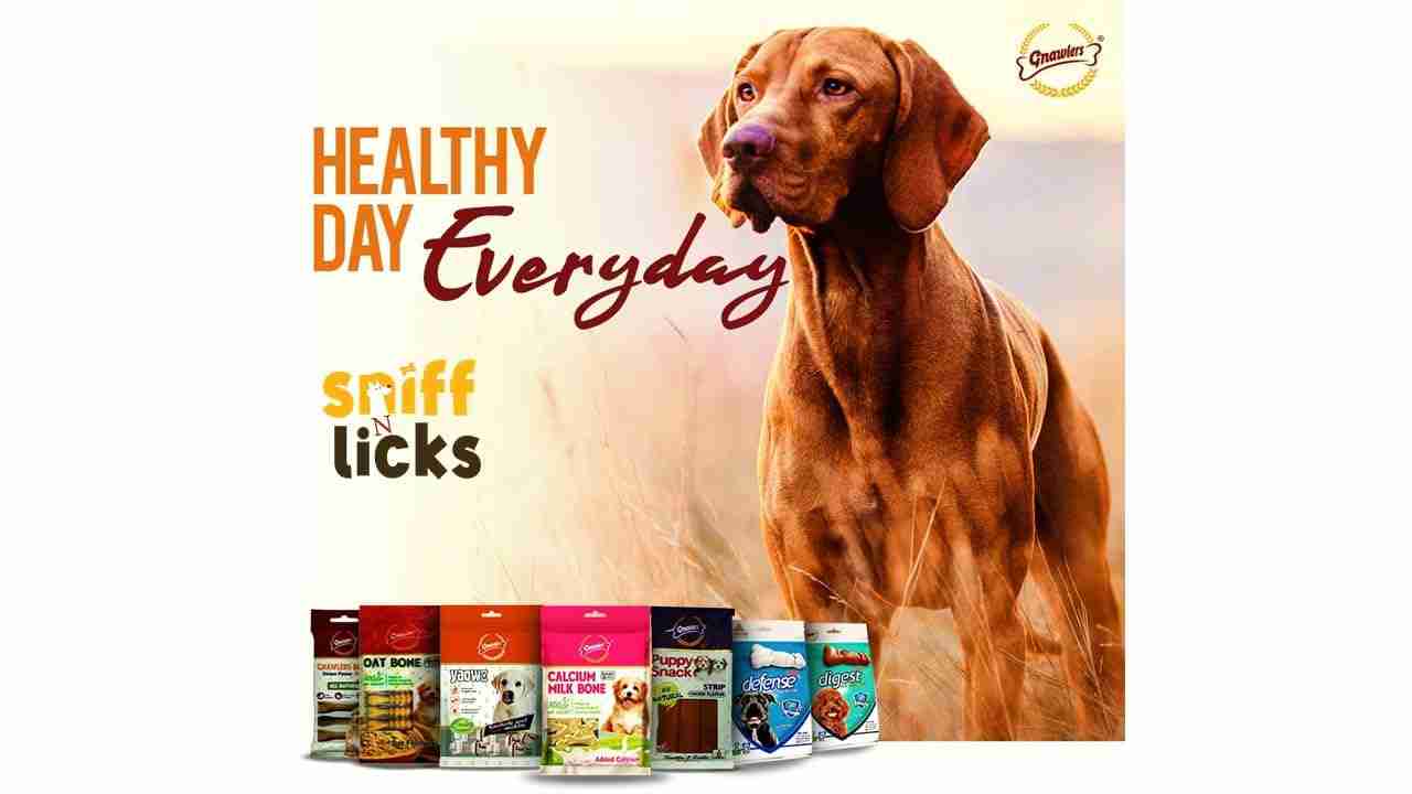 Gnawlers Chicken Bone Mini for Dogs 6 Pcs 108g