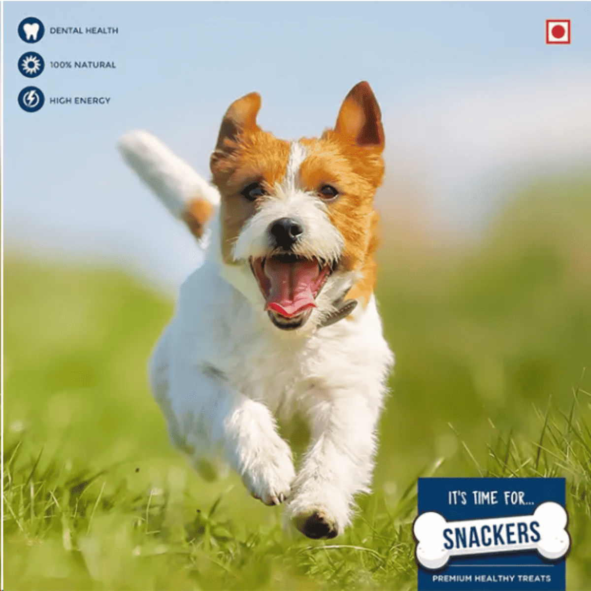 Snackers Cheese Stick with Chicken Dog Treats - 70g