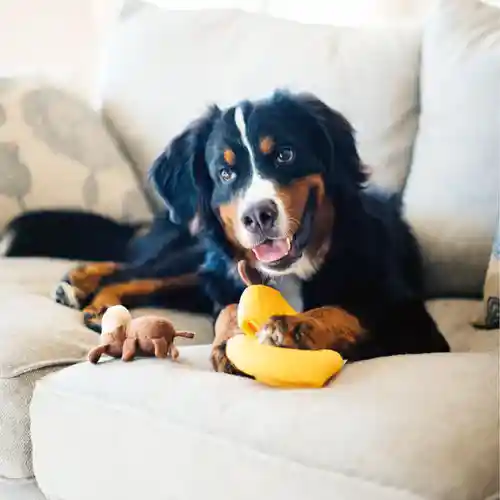 Zippy Paws Zippy Burrow Monkey 'n Banana Plush Toy for Dogs