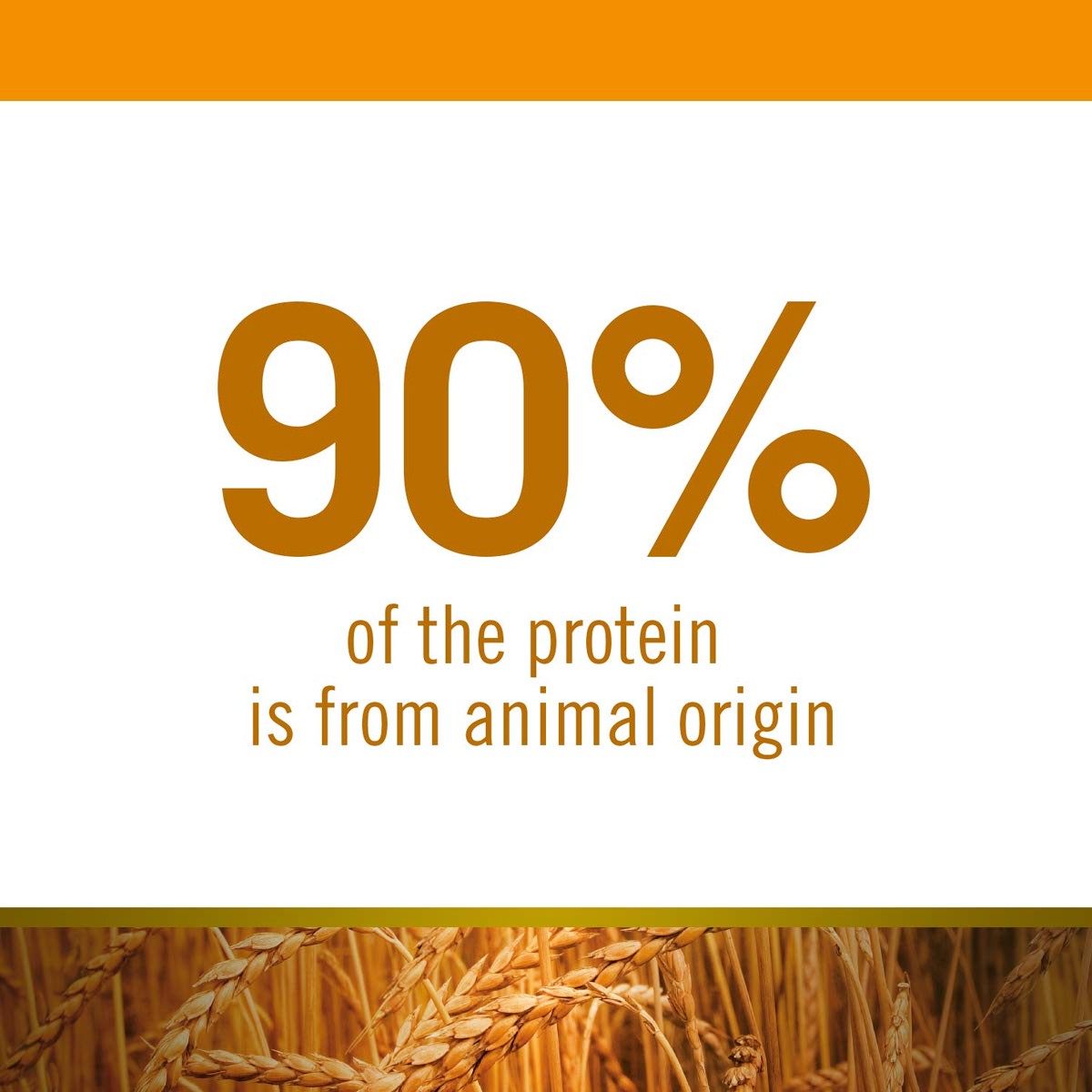 Farmina N&D Ancestral Grain Selection Chicken & Pomegranate Adult Medium/Maxi Dry Dog Food - 15 Kg