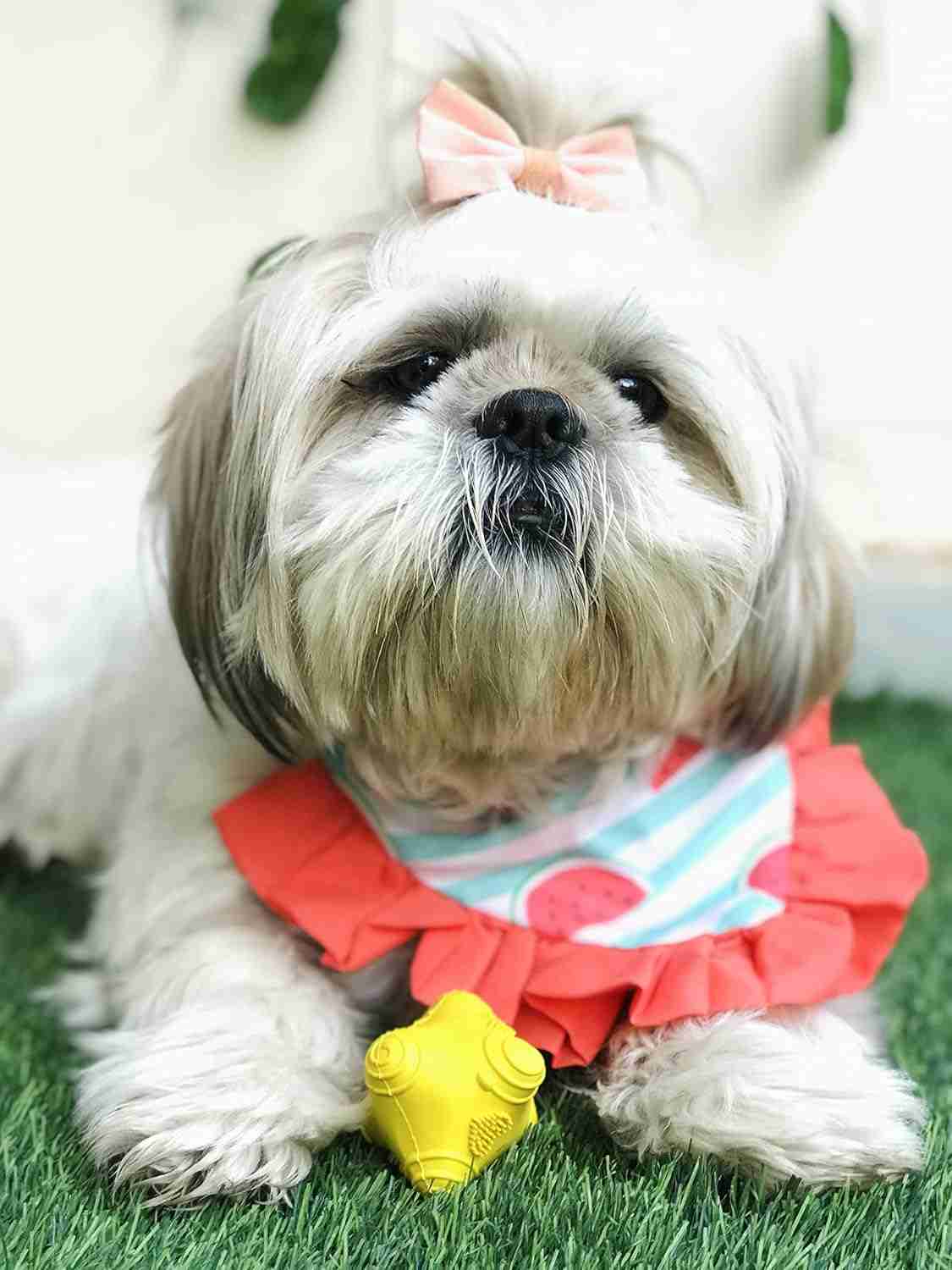 Barkbutler Just A Snitch Yellow (5x4.5x4.3 cm) Toy for Dogs