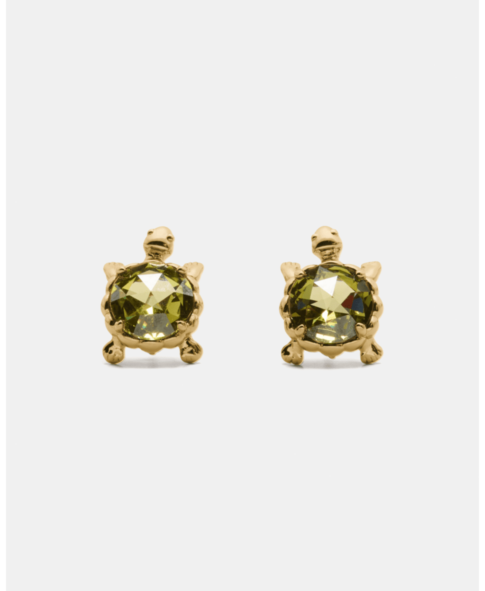 Secret Garden Turtle Studs
