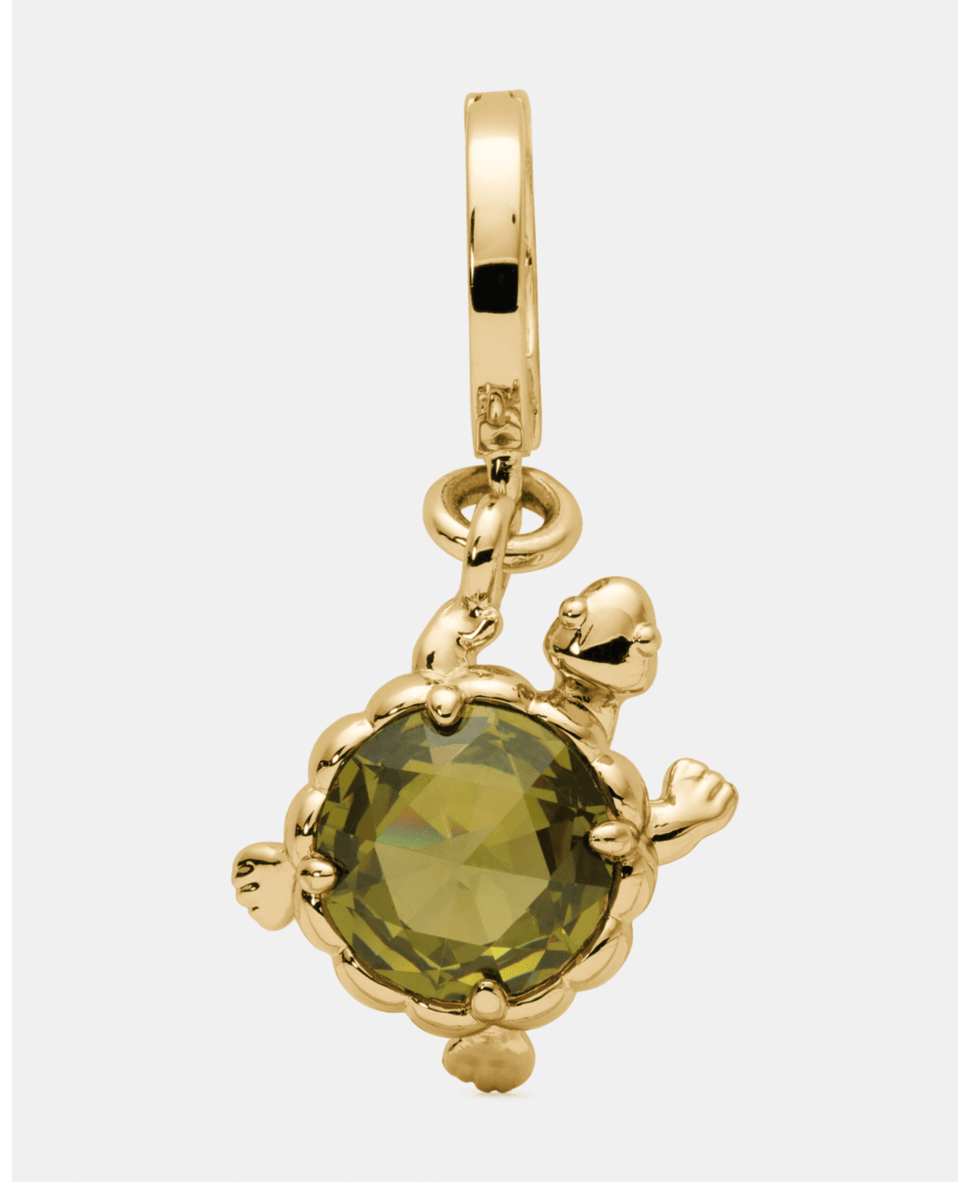 One In A Million Turtle Charm