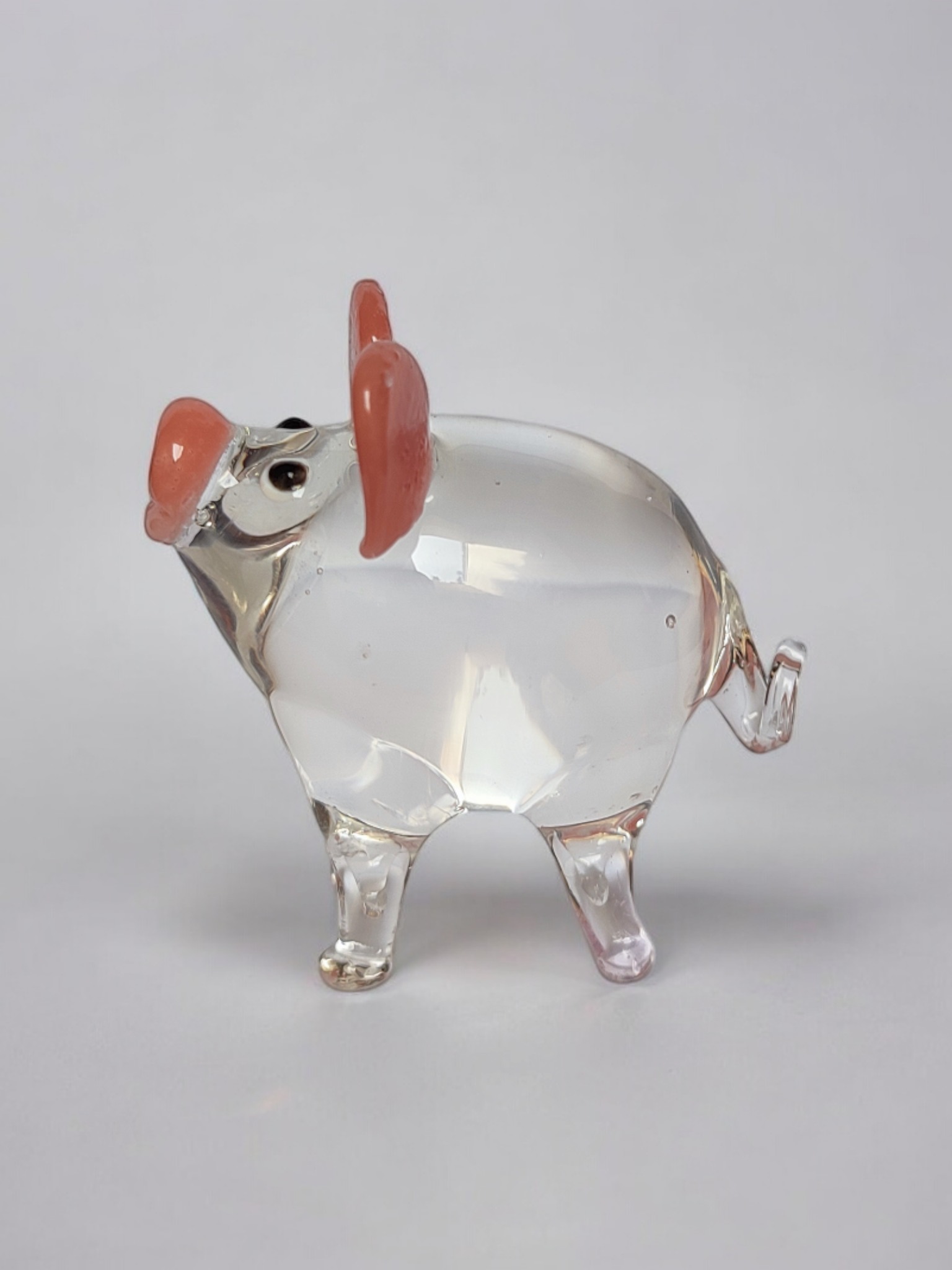 pig