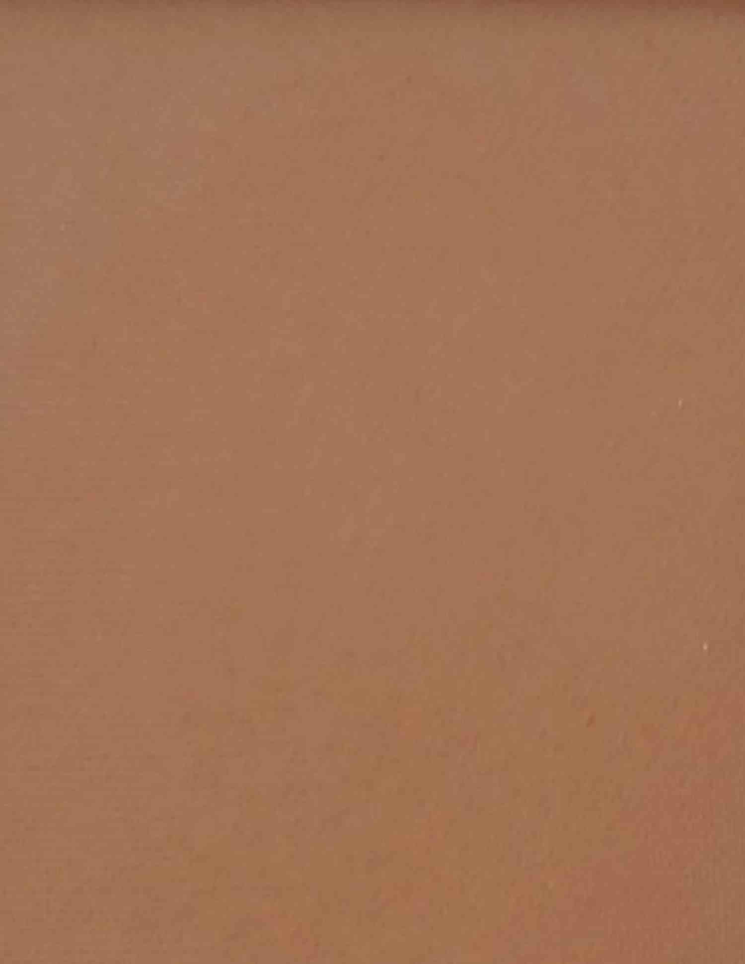 Naked Truth Blush • Naked Truth