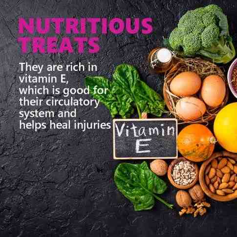 JerHigh Mini Burger Dog Treats - 100 g