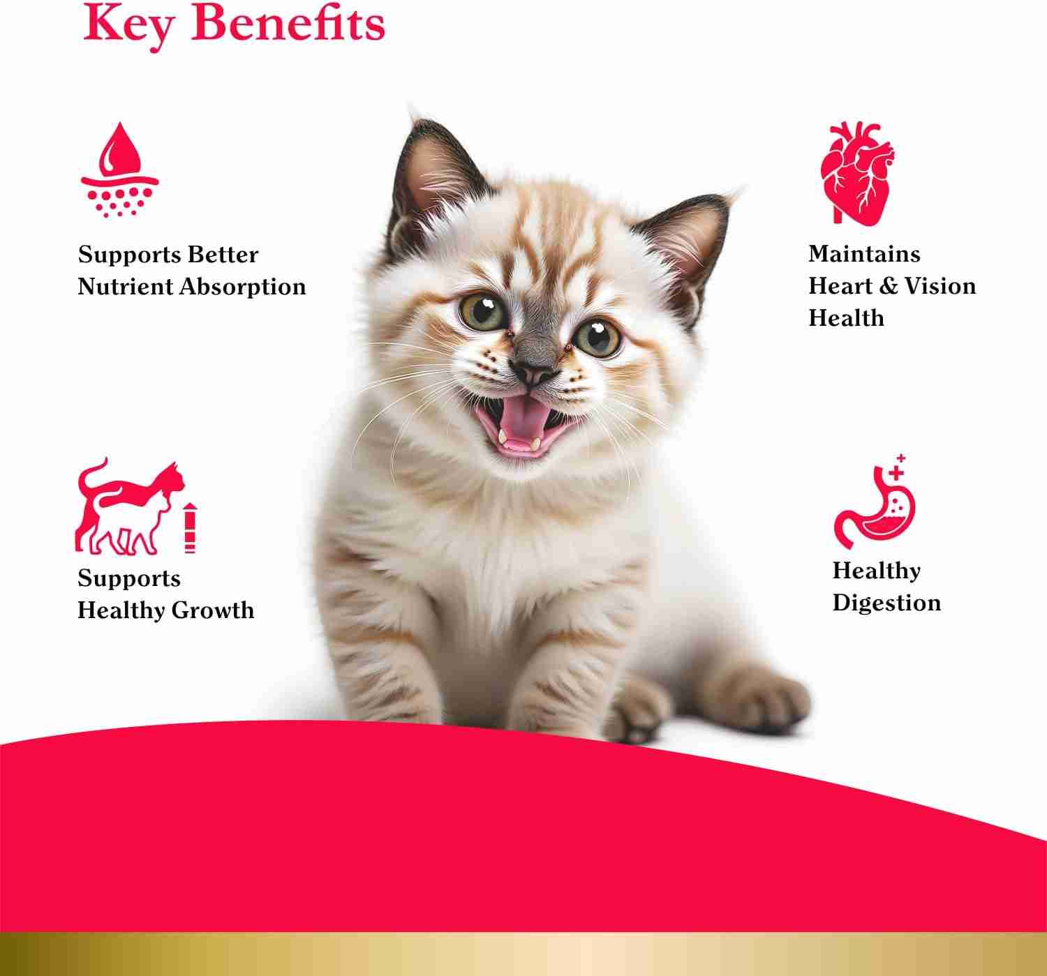 Purepet Peak Real Chicken Kitten Dry Food, 1.2 Kg