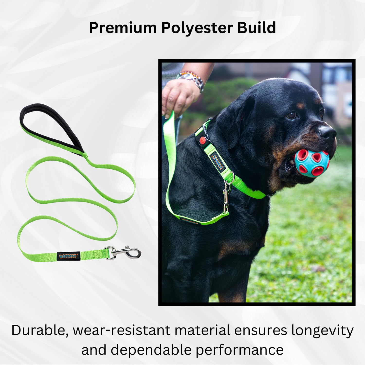 Waggety Dog Leash, Green