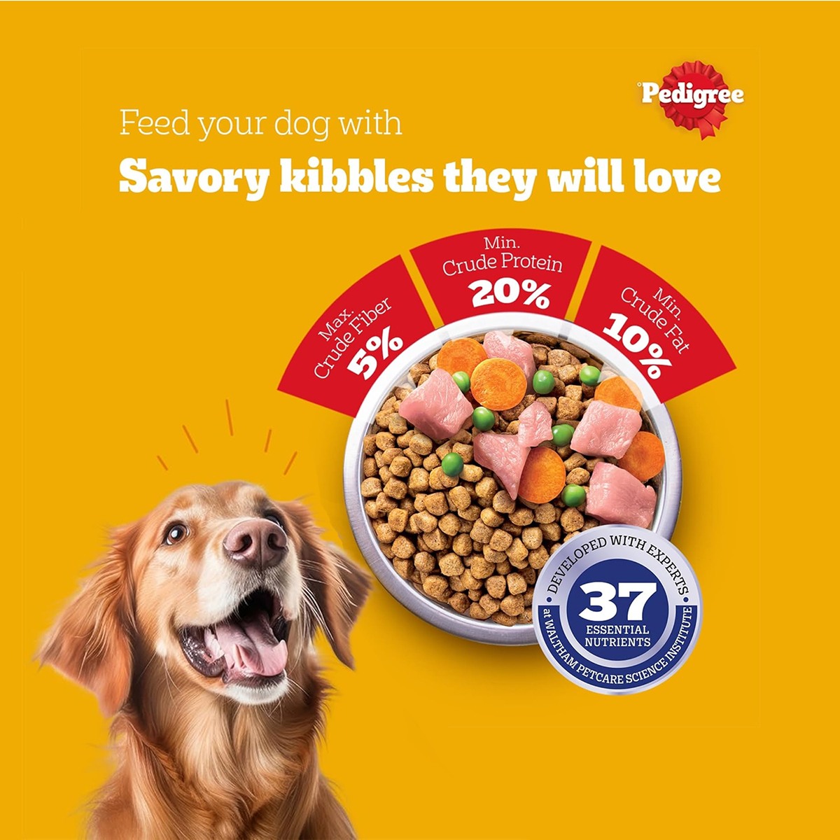 Pedigree Adult Chicken & Vegetables Dry Dog Food