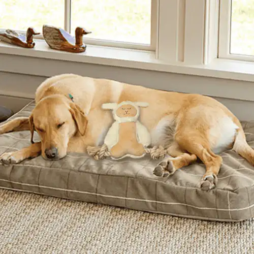 Barkbutler x Fofos Ropeleg Plush Sheep Toy for Dogs (White)