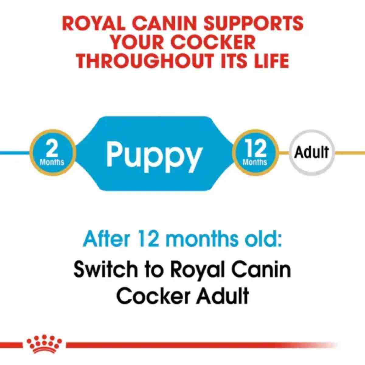 Royal Canin Cocker Puppy Dry Dog Food