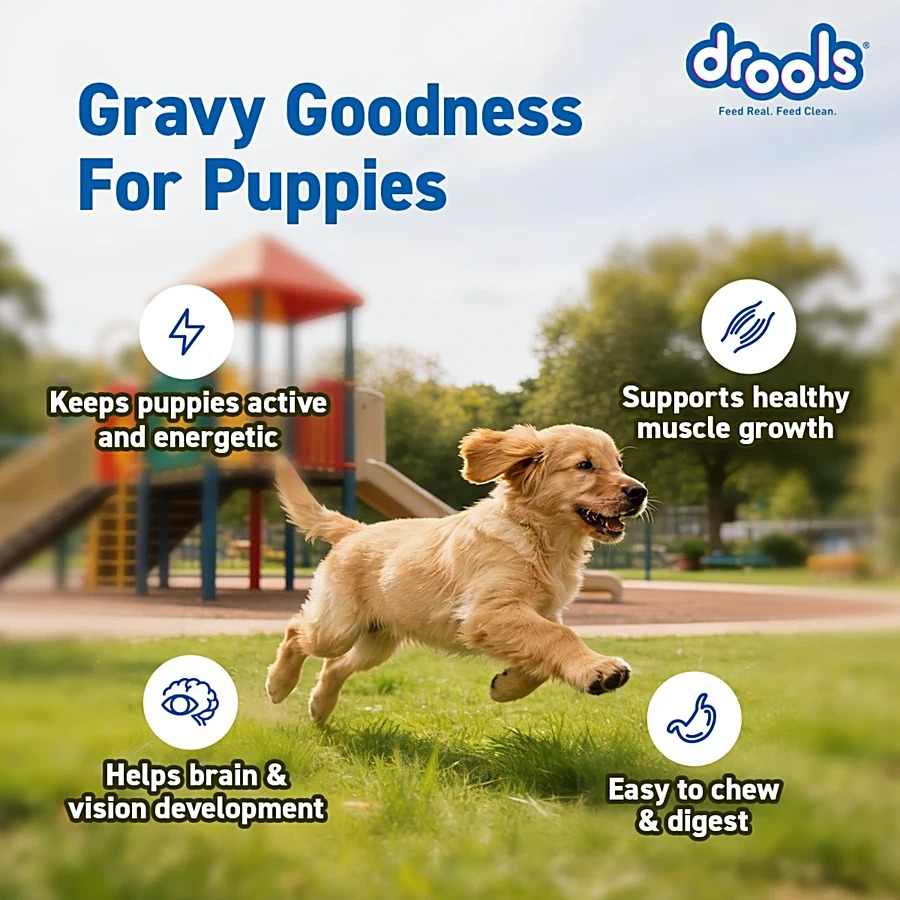 Drools Real Chicken & Liver Chunks In Gravy Wet Food For Puppy, 60g