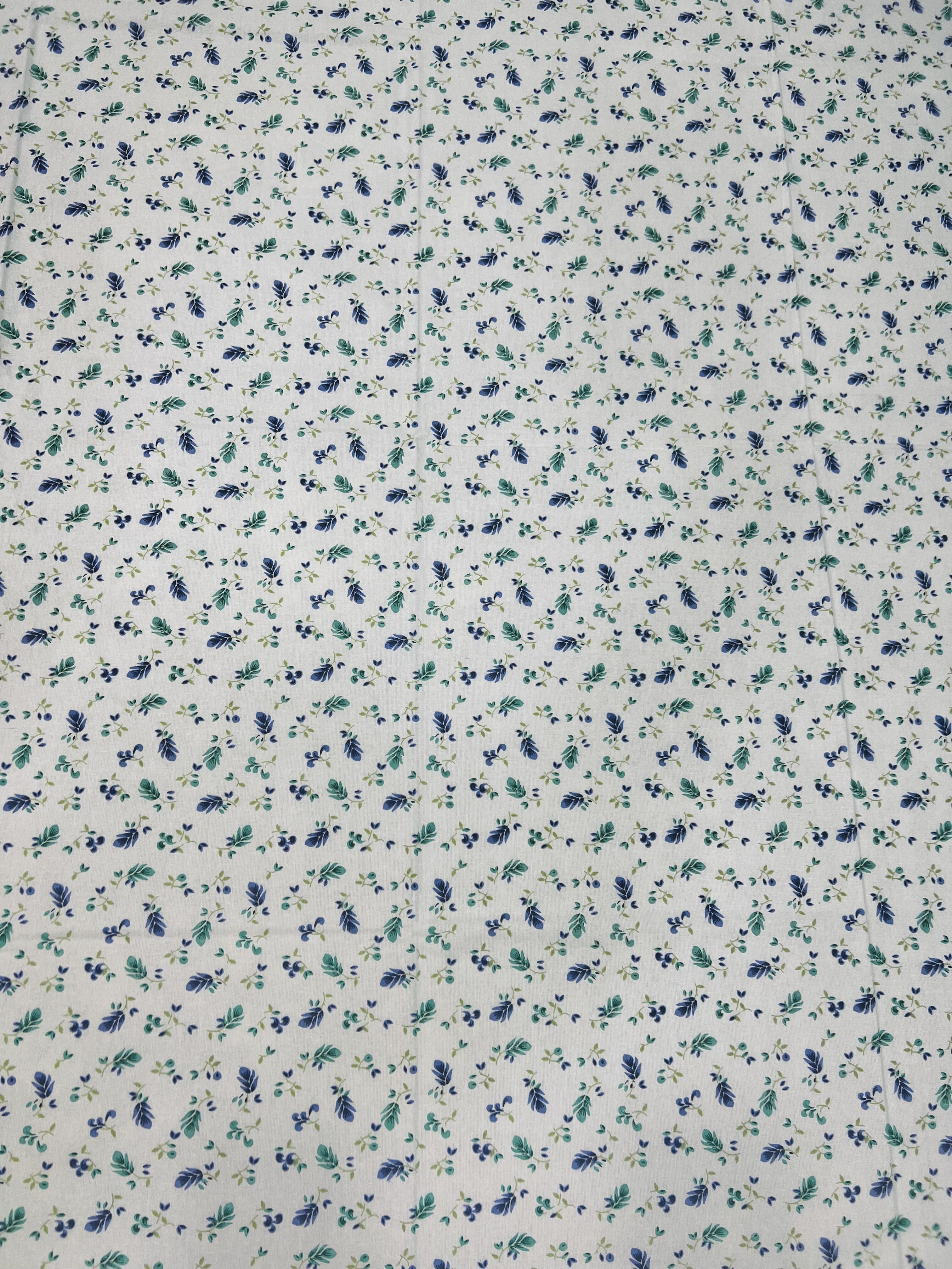 Boria Bistar | Boria Bistar Pure Cotton Printed Bedsheet with Pillow Cover|3