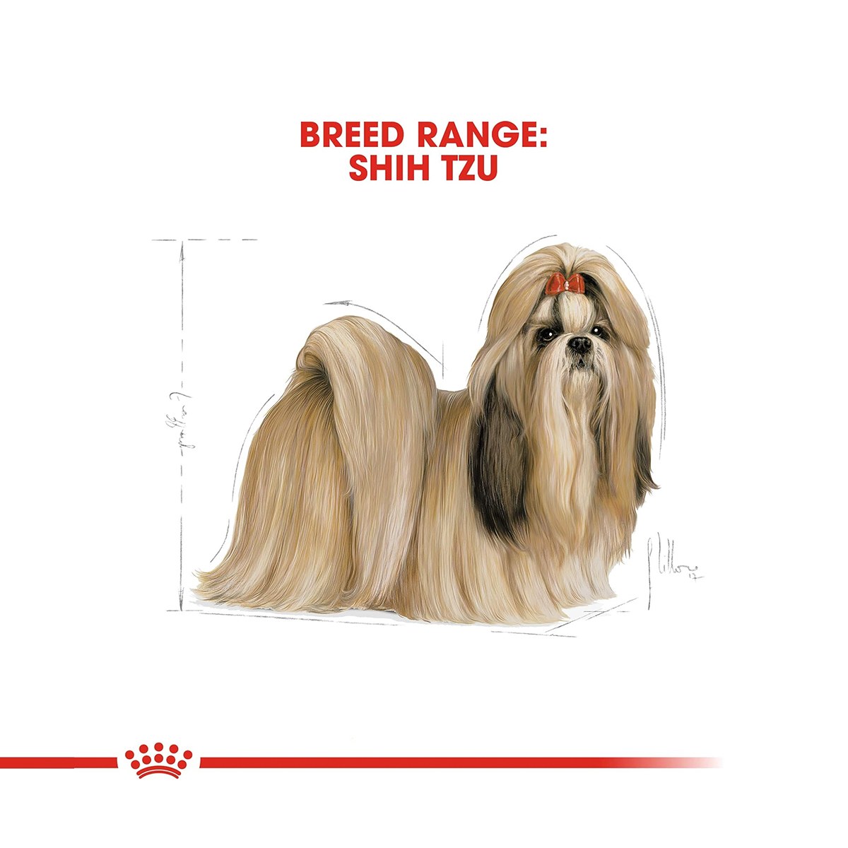 Royal Canin Shih Tzu Adult Dry Dog Food