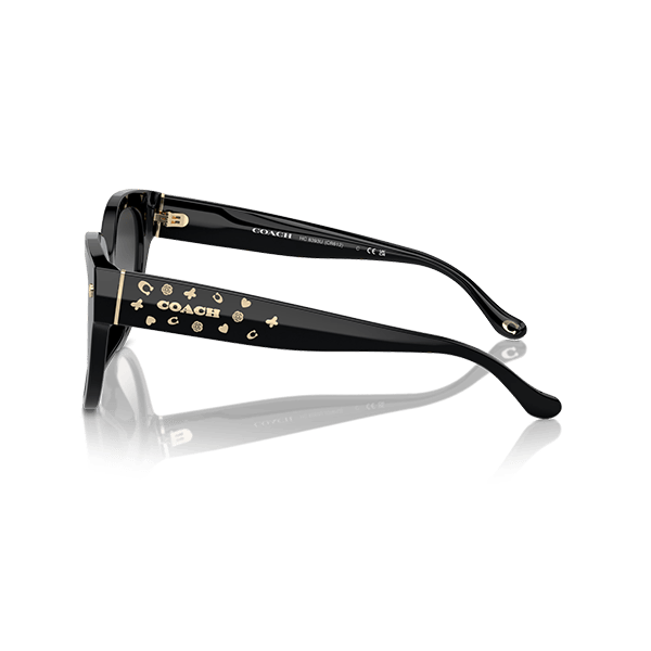 Coach Black Acetate Women Sunglass