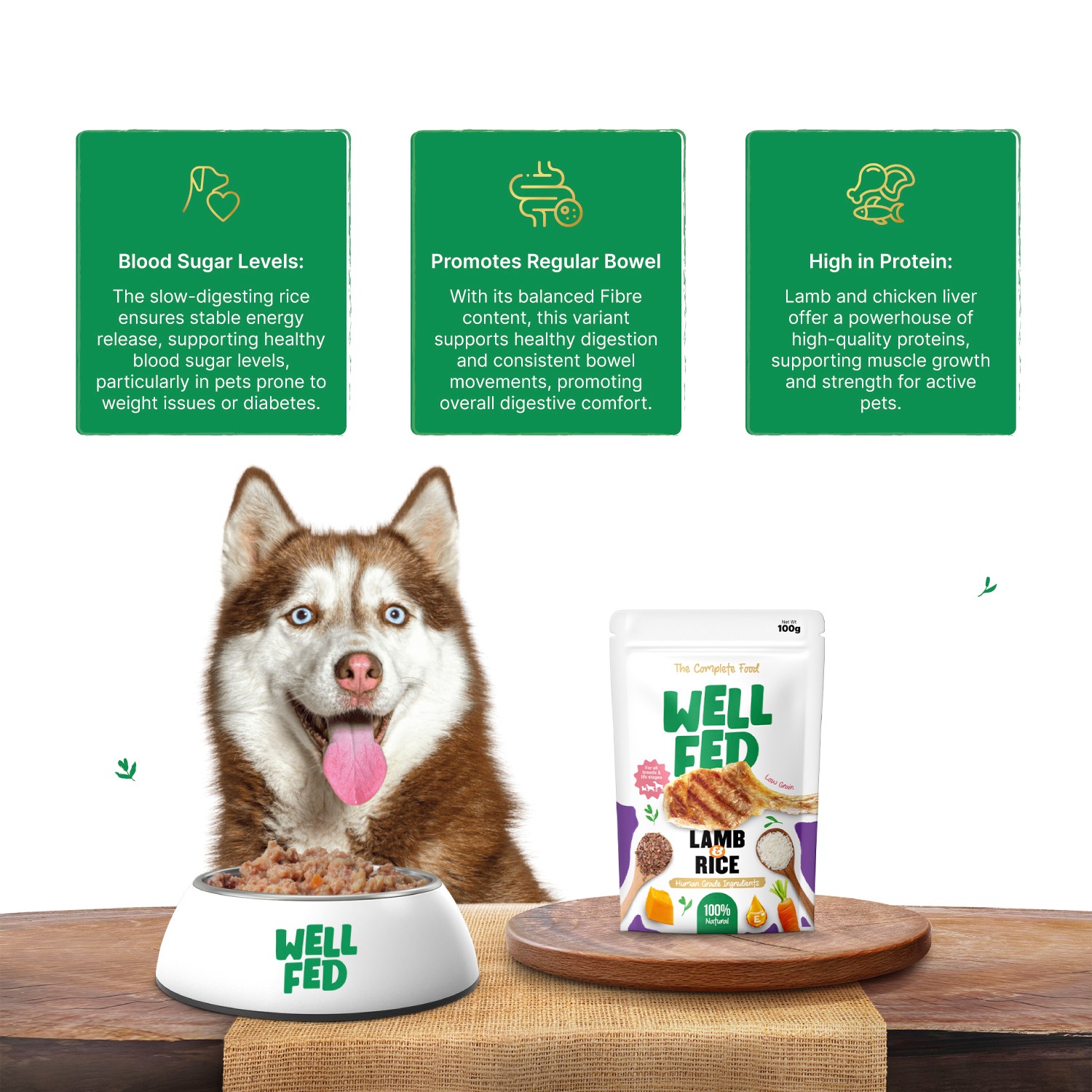 Well Fed Lamb & Rice Wet Dog Food 300 g