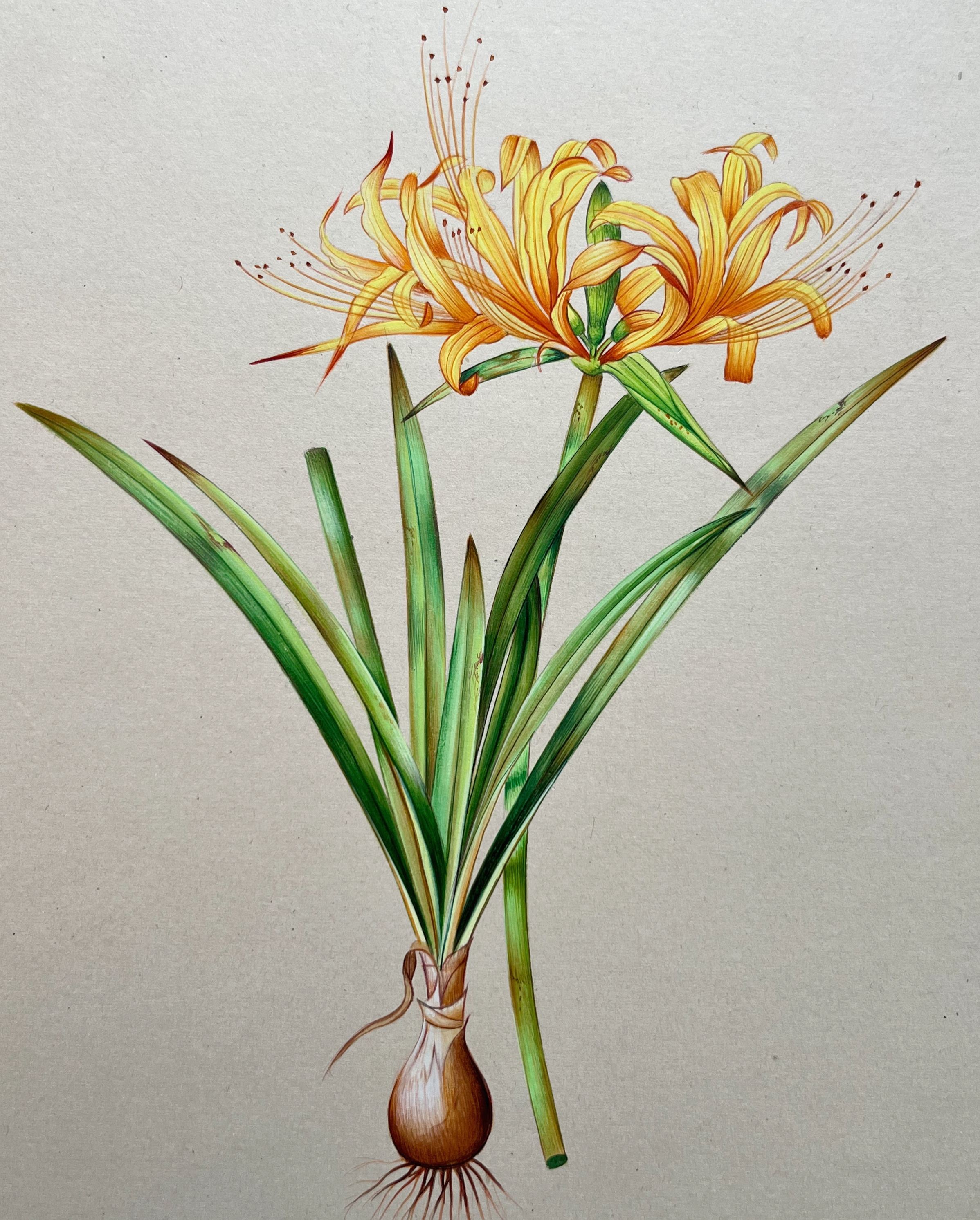 Realistic Flower Painting