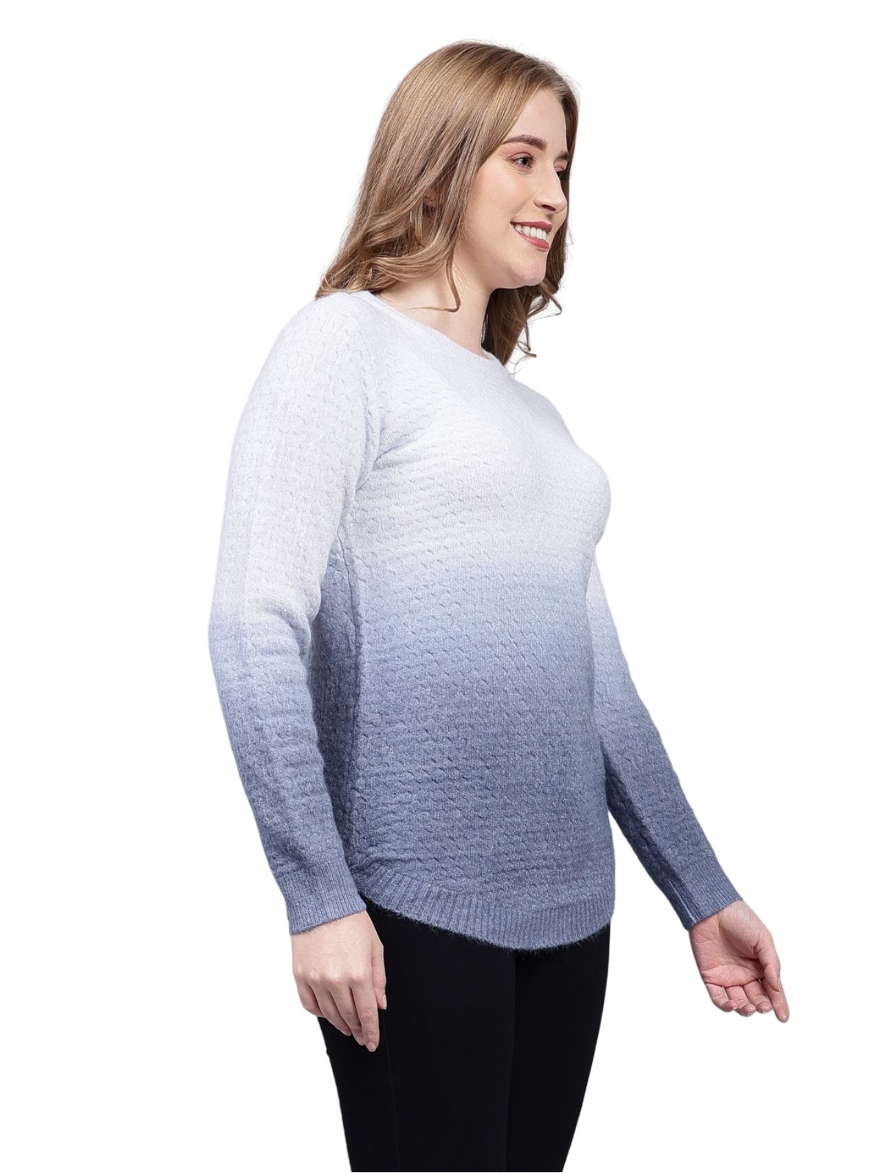 Albion Chicago Women Blue Winter Sweaters