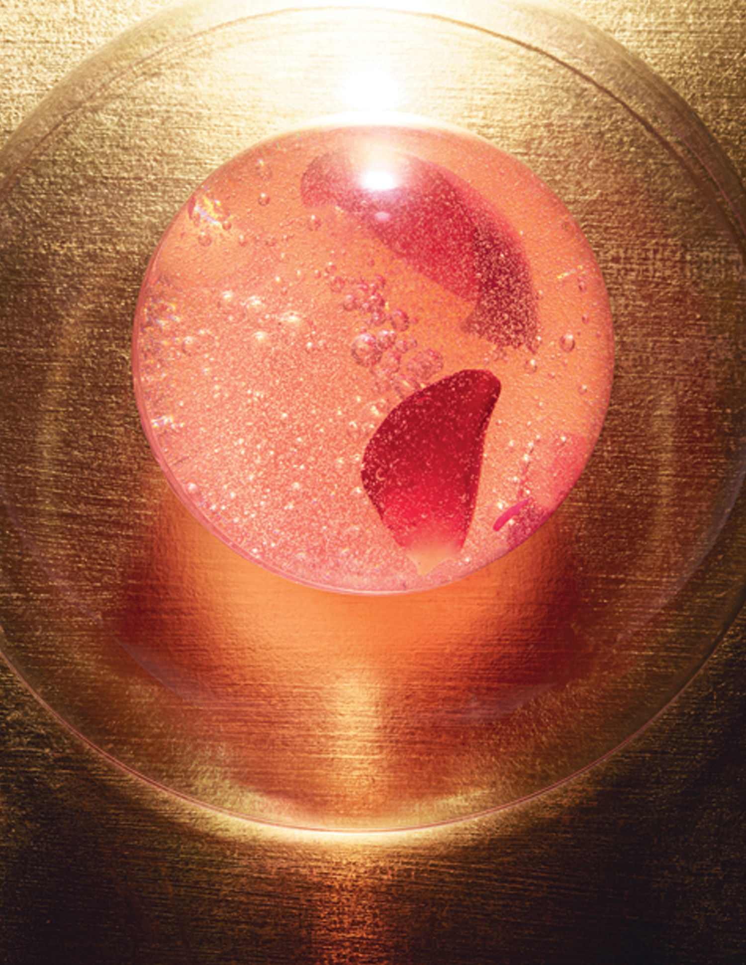 Absolue Precious Cells Nourishing And Revitalising Rose Mask • 75ml