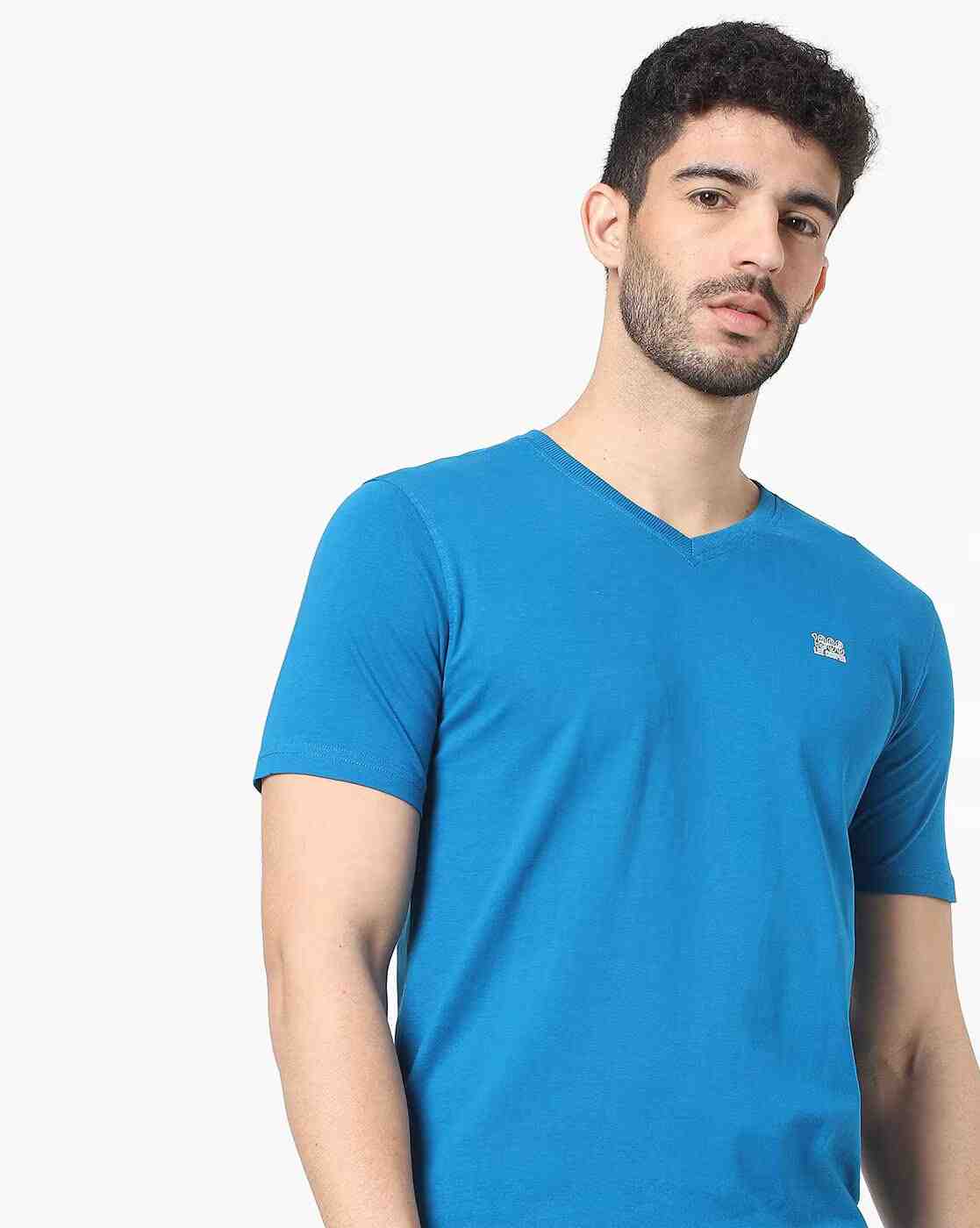 Regular Fit V-neck T-Shirt with Brand Print