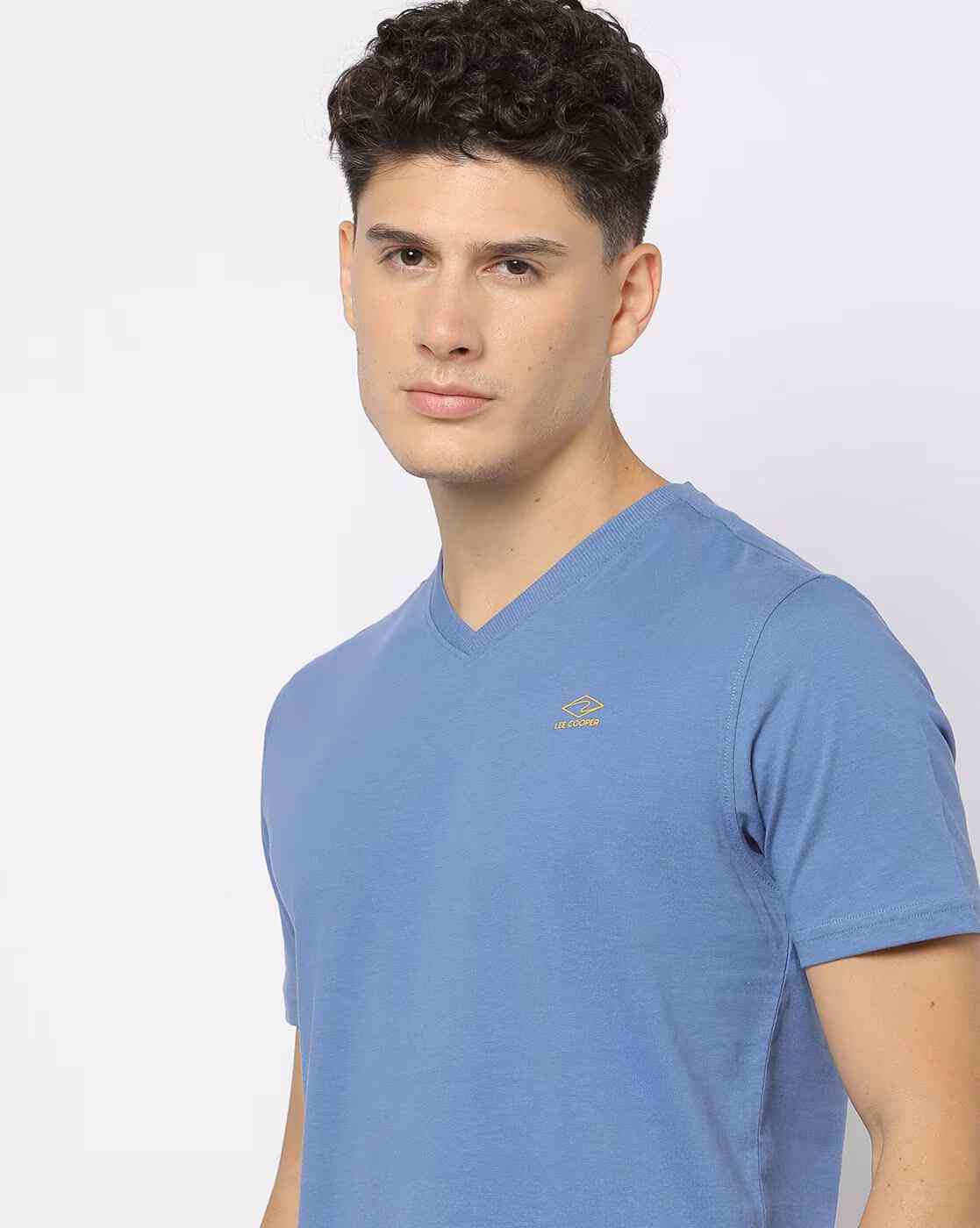 Regular Fit V-Neck T-Shirt with Placement Brand Print